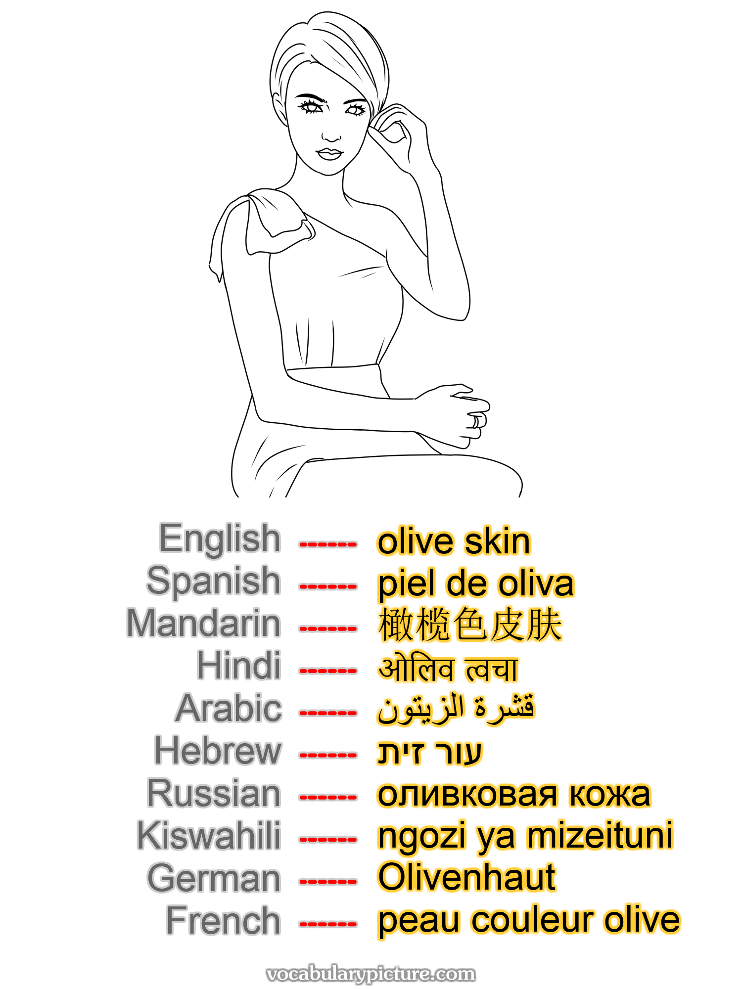 olive skin piel de oliva 橄榄色皮肤 ओलिव त्वचा قشرة الزيتون עור זית оливковая кожа ngozi ya mizeituni Olivenhaut peau couleur olive —vocabulary with picture on vocabularypicture.com