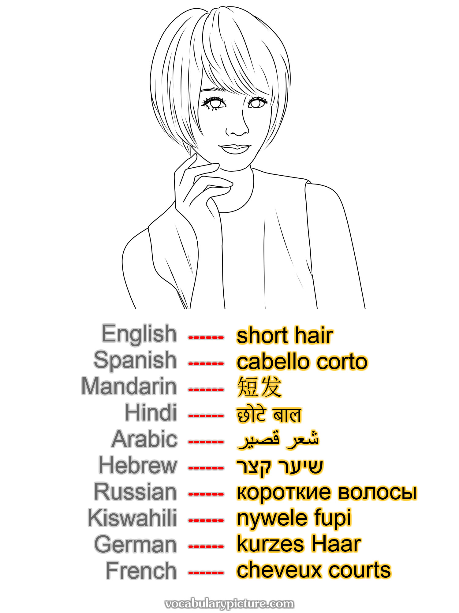 short hair cabello corto 短发 छोटे बाल شعر قصير שיער קצר короткие волосы nywele fupi kurzes Haar cheveux courts —vocabulary with picture on vocabularypicture.com