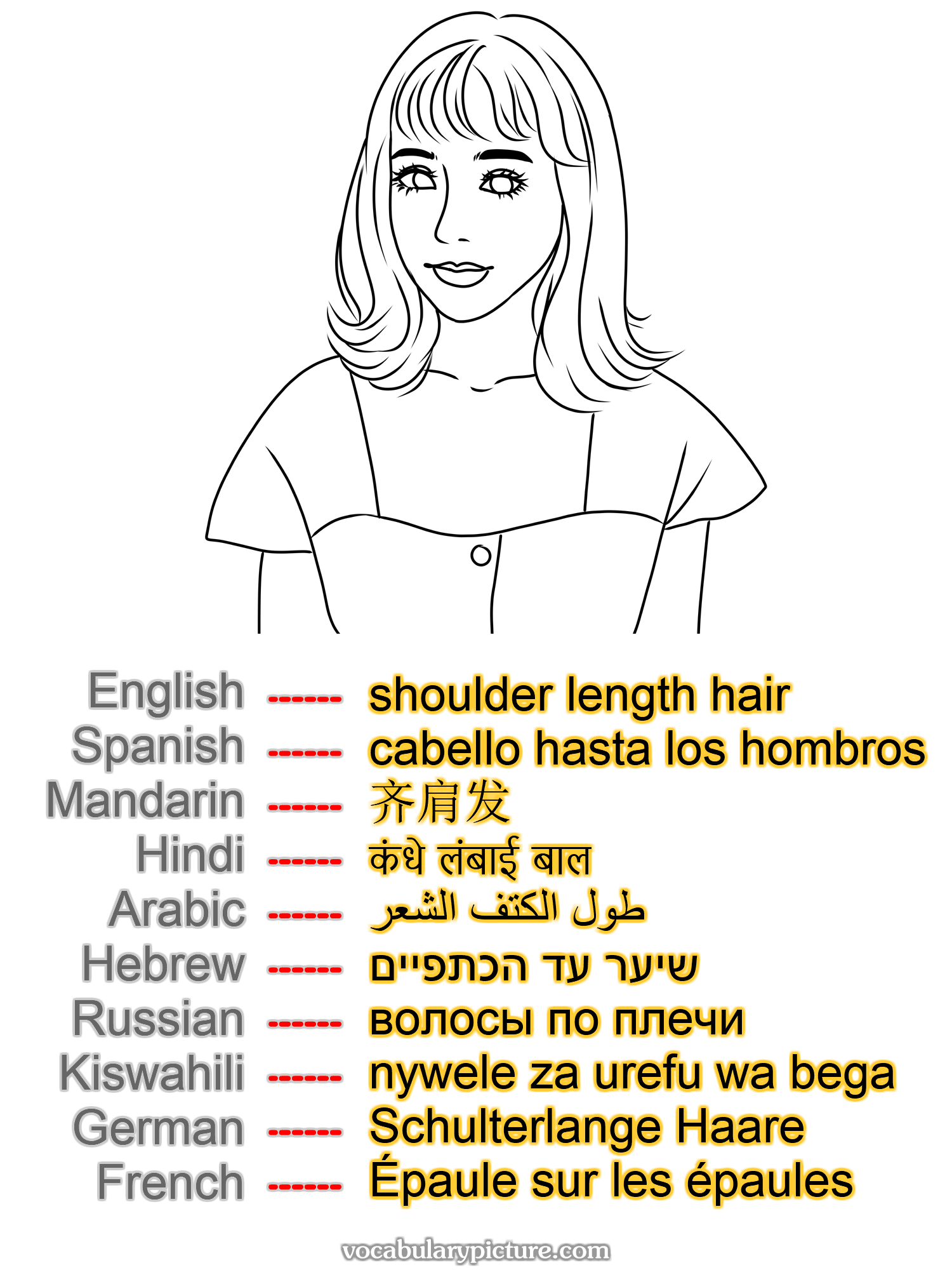 shoulder length hair cabello hasta los hombros 齐肩发 कंधे लंबाई बाल طول الكتف الشعر שיער עד הכתפיים волосы по плечи nywele za urefu wa bega Schulterlange Haare Épaule sur les épaules —vocabulary with picture on vocabularypicture.com