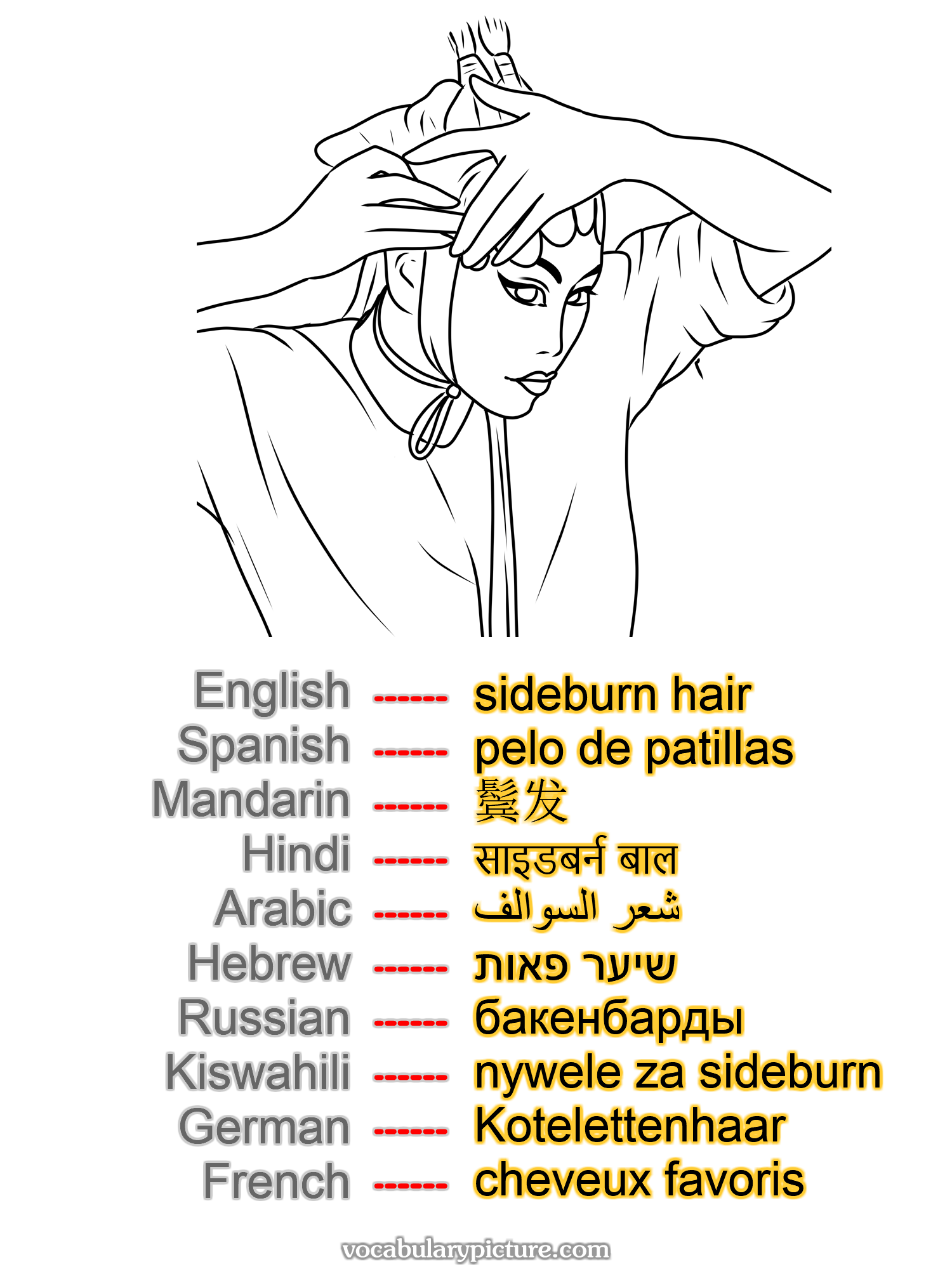sideburn hair pelo de patillas 鬓发 साइडबर्न बाल شعر السوالف שיער פאות бакенбарды nywele za sideburn Kotelettenhaar cheveux favoris —vocabulary with picture on vocabularypicture.com