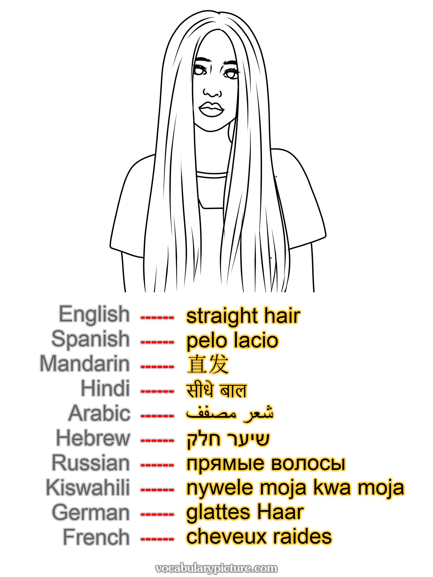 straight hair pelo lacio 直发 सीधे बाल شعر مصفف שיער חלק прямые волосы nywele moja kwa moja glattes Haar cheveux raides —vocabulary with picture on vocabularypicture.com