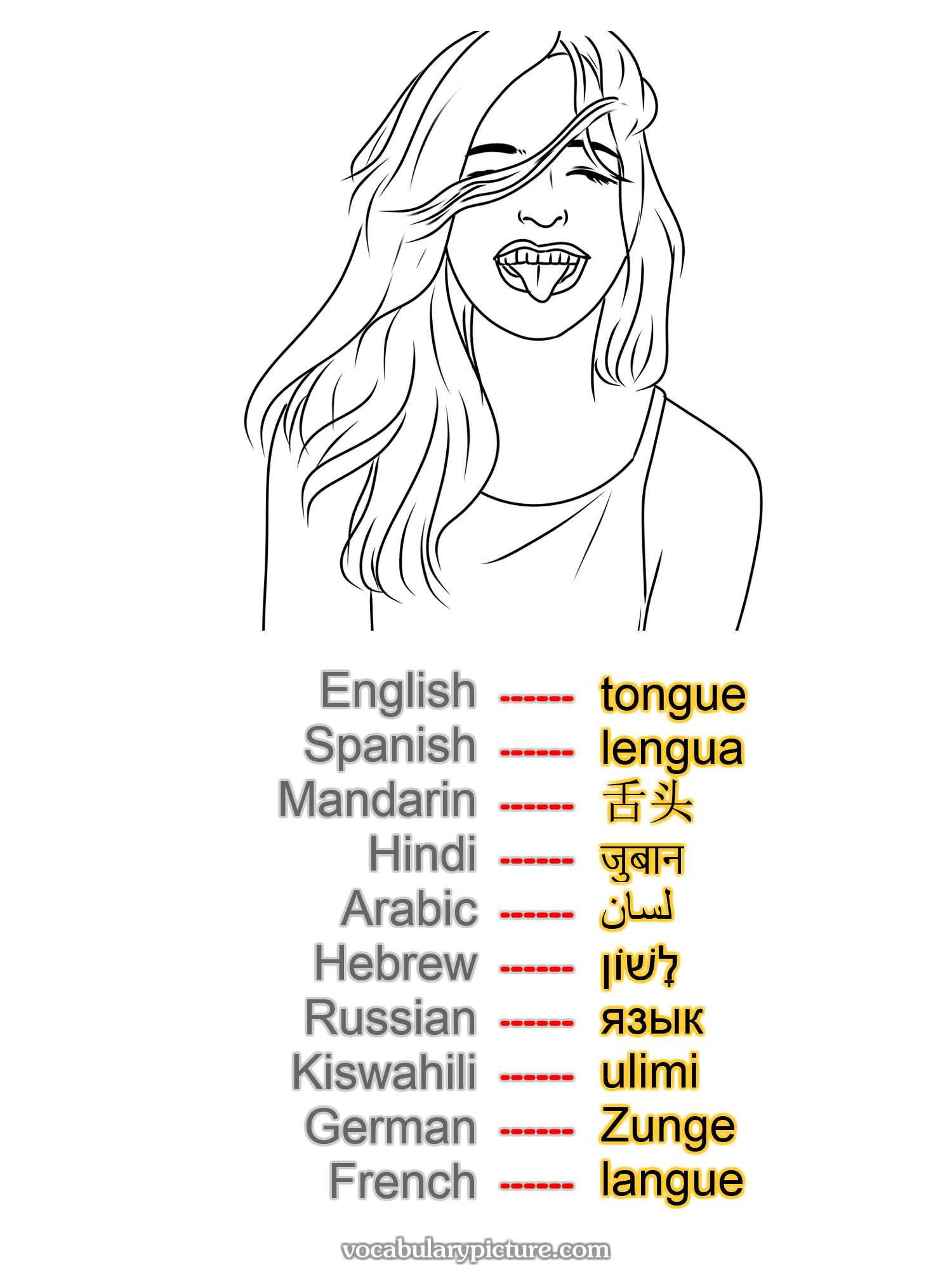 tongue lengua 舌头 जुबान لسان לָשׁוֹן язык ulimi Zunge langue —vocabulary with picture on vocabularypicture.com