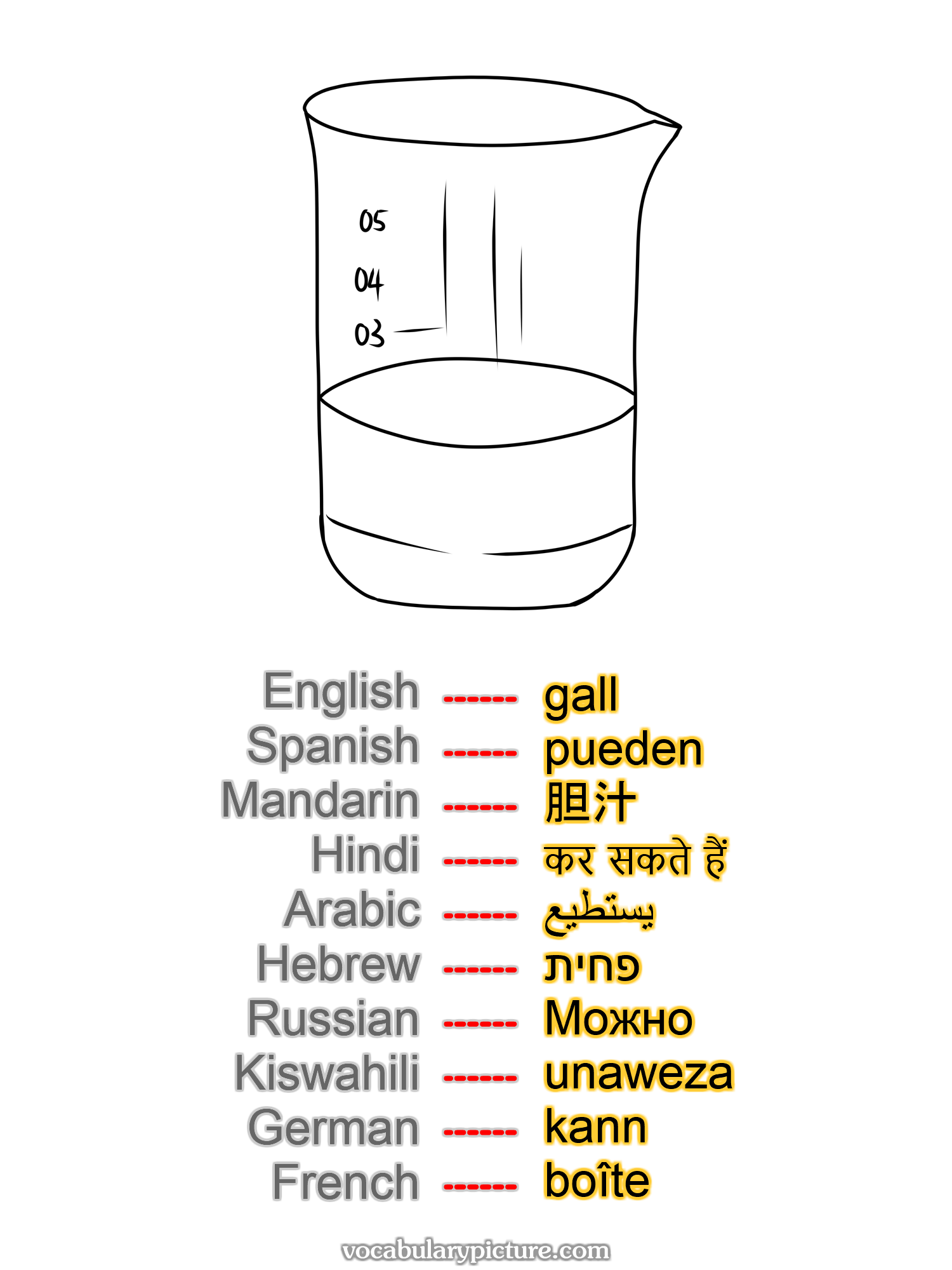 gall pueden 胆汁 कर सकते हैं يستطيع פחית Можно unaweza kann boîte —vocabulary with picture on vocabularypicture.com