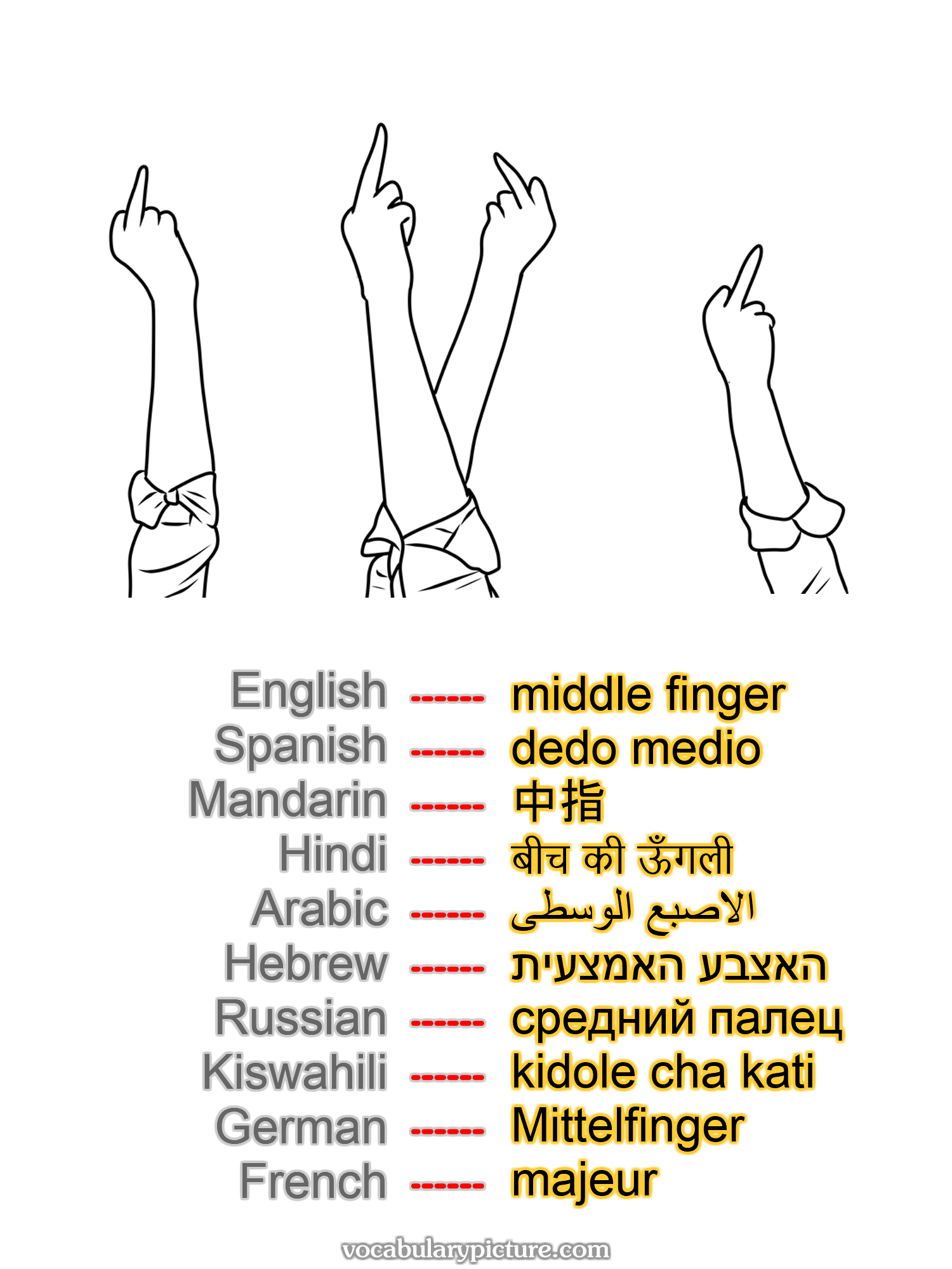 middle finger dedo medio 中指 बीच की ऊँगली الاصبع الوسطى האצבע האמצעית средний палец kidole cha kati Mittelfinger majeur —vocabulary with picture on vocabularypicture.com