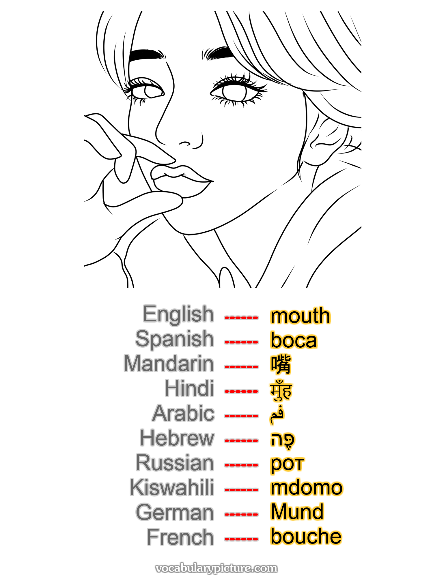 mouth boca 嘴 मुँह فم פֶּה рот mdomo Mund bouche —vocabulary with picture on vocabularypicture.com