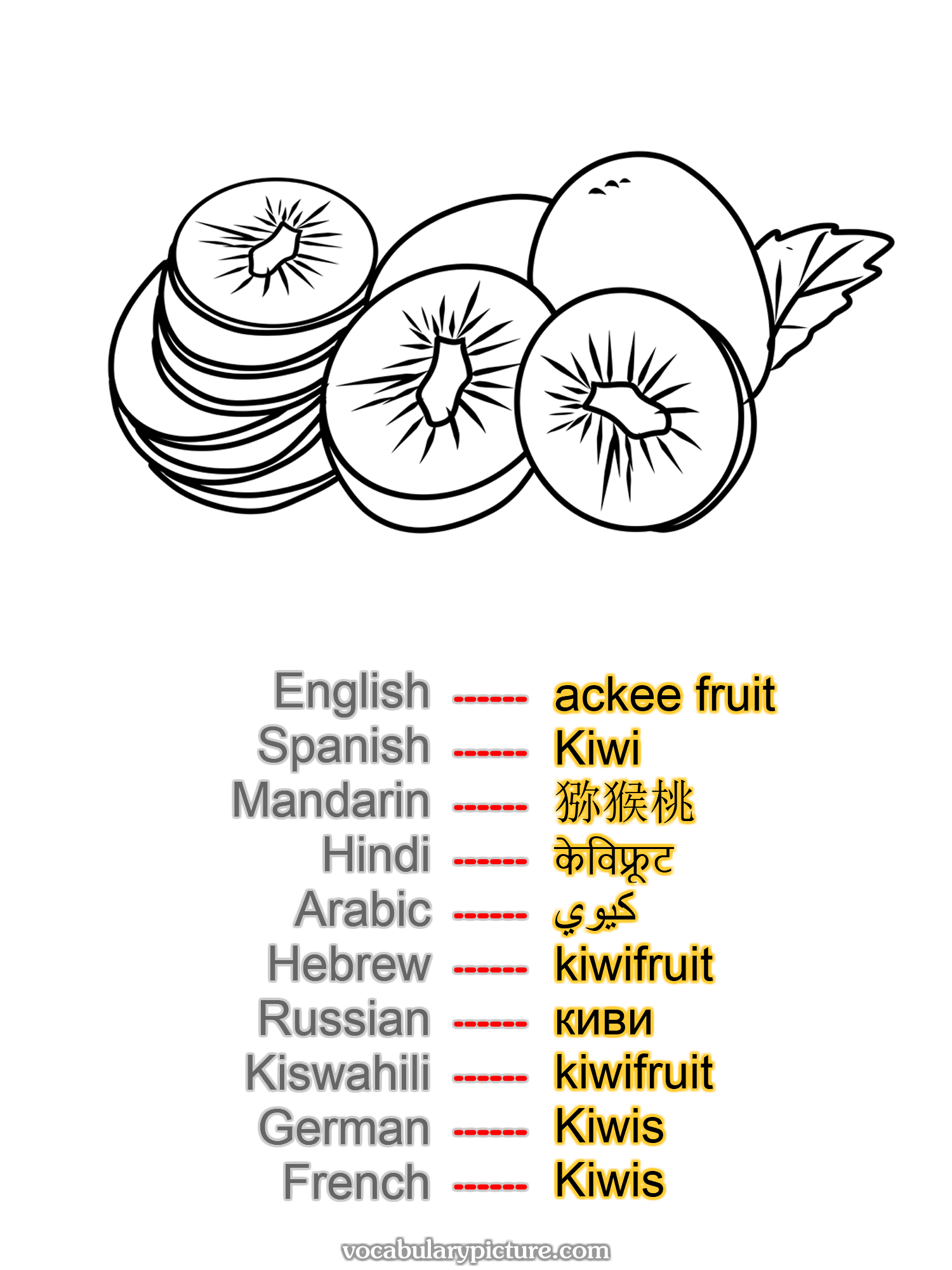 ackee fruit Kiwi 猕猴桃 केविफ्रूट كيوي kiwifruit киви kiwifruit Kiwis Kiwis —vocabulary with picture on vocabularypicture.com