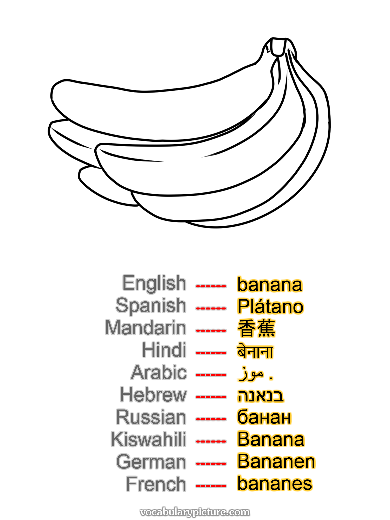 banana Plátano 香蕉 बेनाना موز . בנאנה банан Banana Bananen bananes —vocabulary with picture on vocabularypicture.com