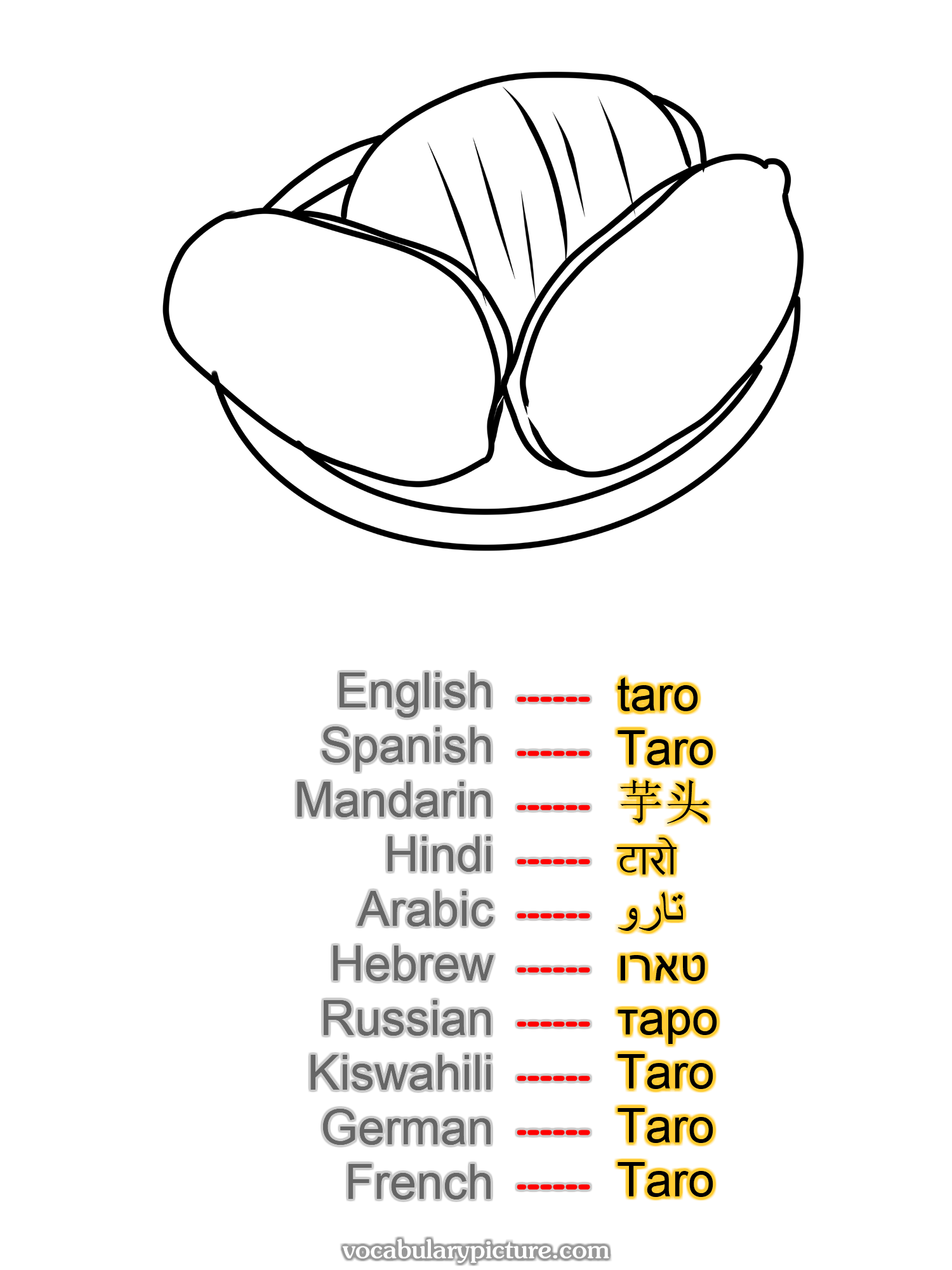 taro Taro 芋头 टारो تارو טארו таро Taro Taro Taro —vocabulary with picture on vocabularypicture.com