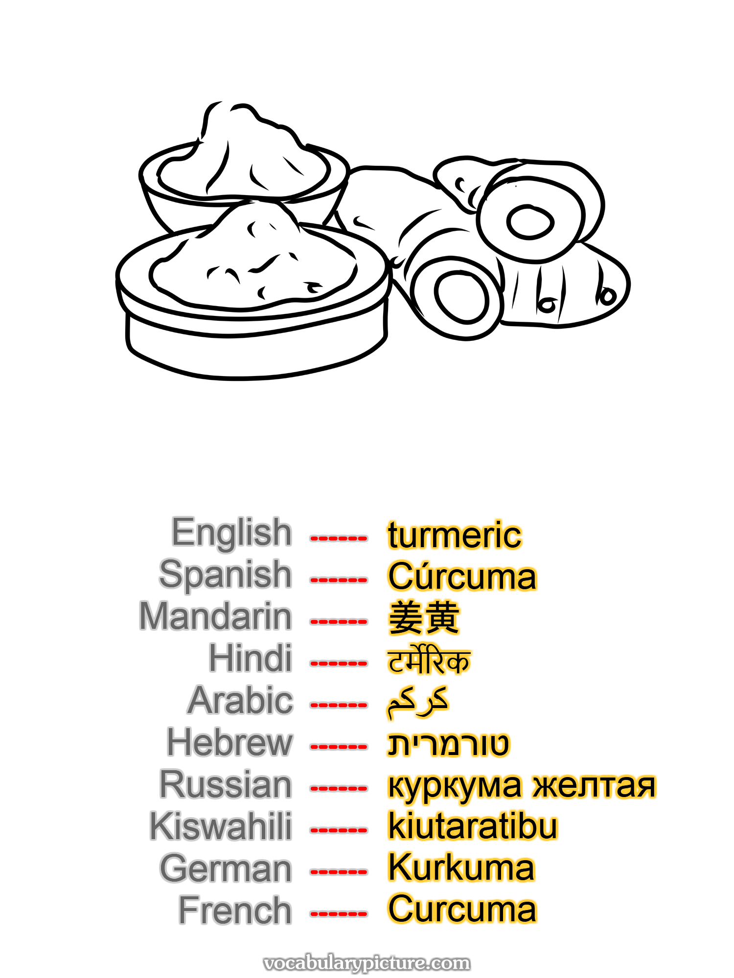 turmeric Cúrcuma 姜黄 टर्मेरिक كركم טורמרית куркума желтая kiutaratibu Kurkuma Curcuma —vocabulary with picture on vocabularypicture.com