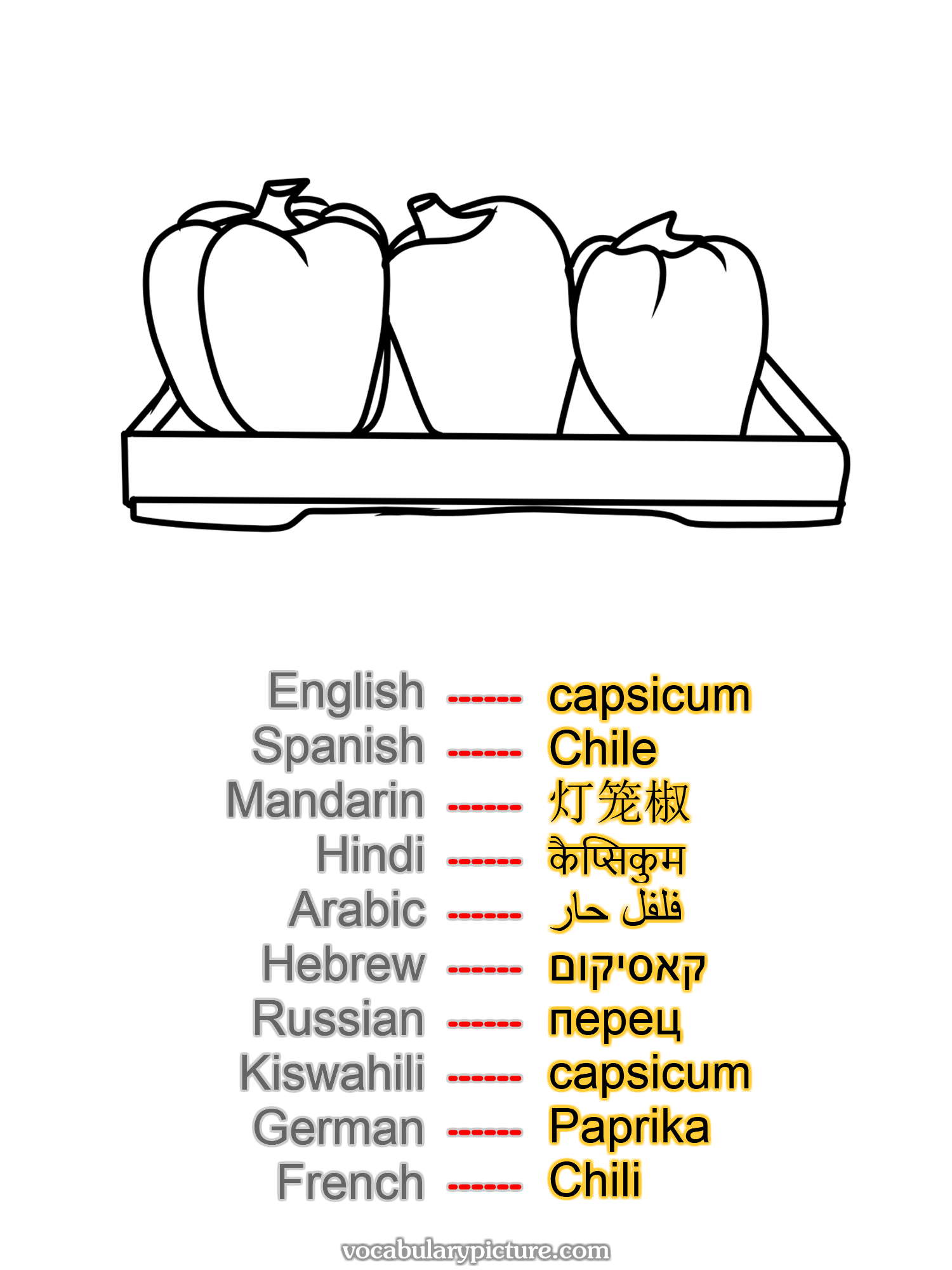 capsicum Chile 灯笼椒 कैप्सिकुम فلفل حار קאסיקום перец capsicum Paprika Chili —vocabulary with picture on vocabularypicture.com