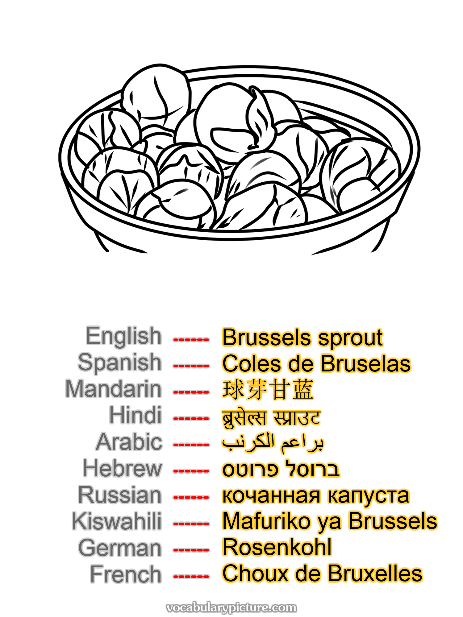 Brussels sprout Coles de Bruselas 球芽甘蓝 ब्रुसेल्स स्प्राउट براعم الكرنب ברוסל פרוטס кочанная капуста Mafuriko ya Brussels Rosenkohl Choux de Bruxelles —vocabulary with picture on vocabularypicture.com