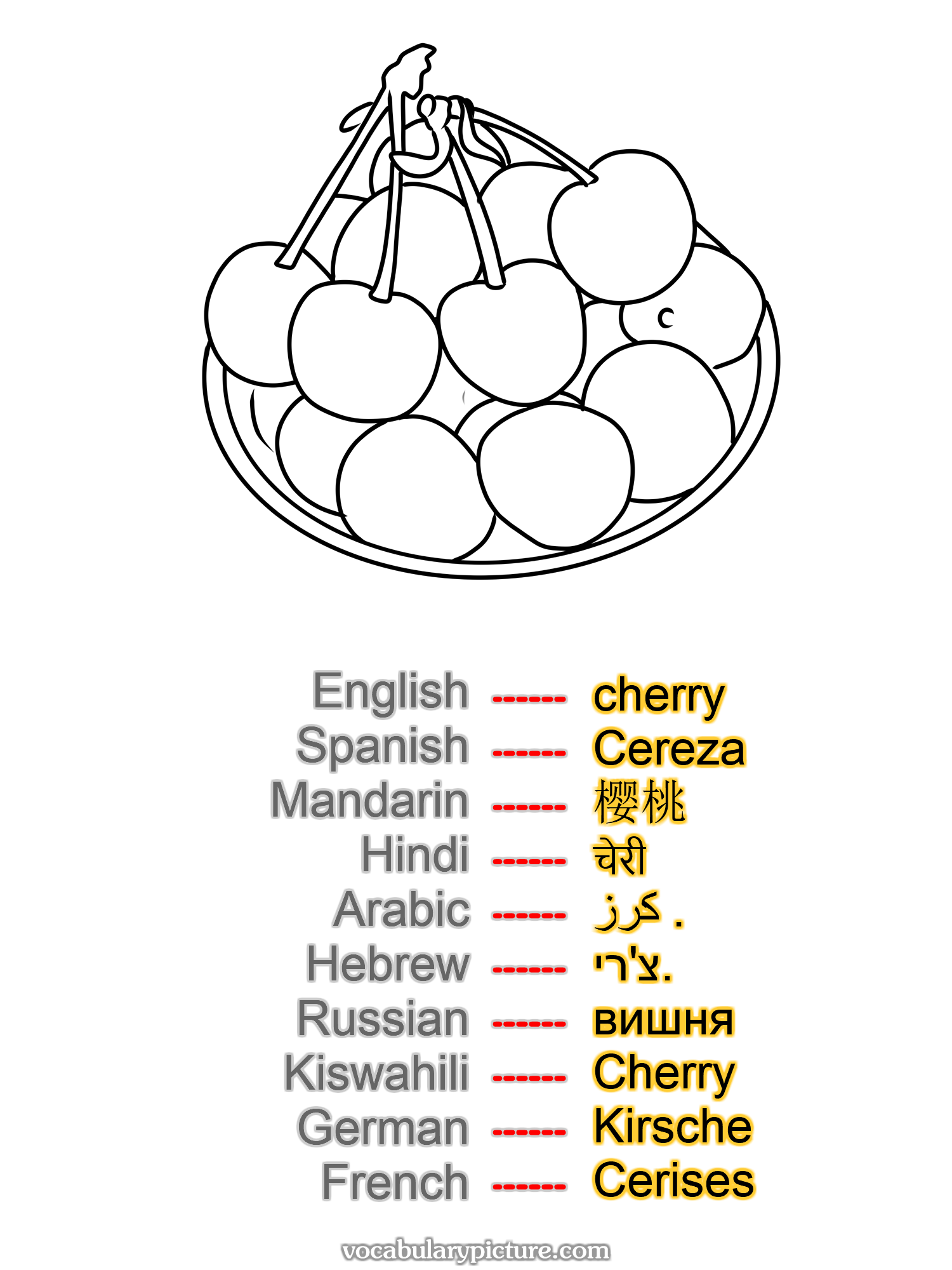 cherry Cereza 樱桃 चेरी كرز . צ'רי. вишня Cherry Kirsche Cerises —vocabulary with picture on vocabularypicture.com