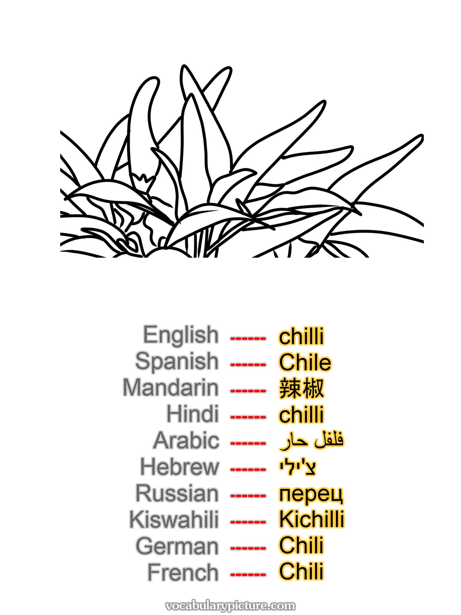 chilli Chile 辣椒 chilli فلفل حار צ'ילי перец Kichilli Chili Chili —vocabulary with picture on vocabularypicture.com