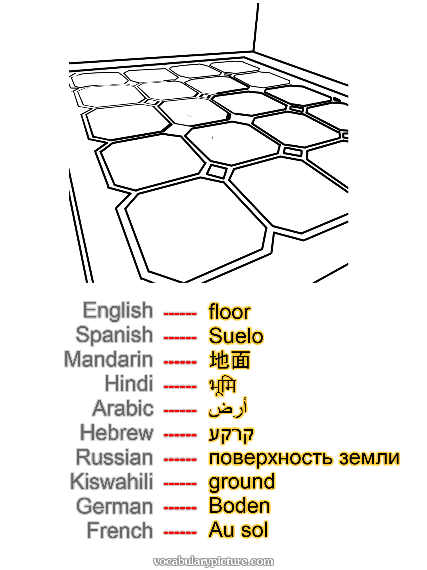 floor Suelo 地面 भूमि أرض קרקע поверхность земли ground Boden Au sol —vocabulary with picture on vocabularypicture.com