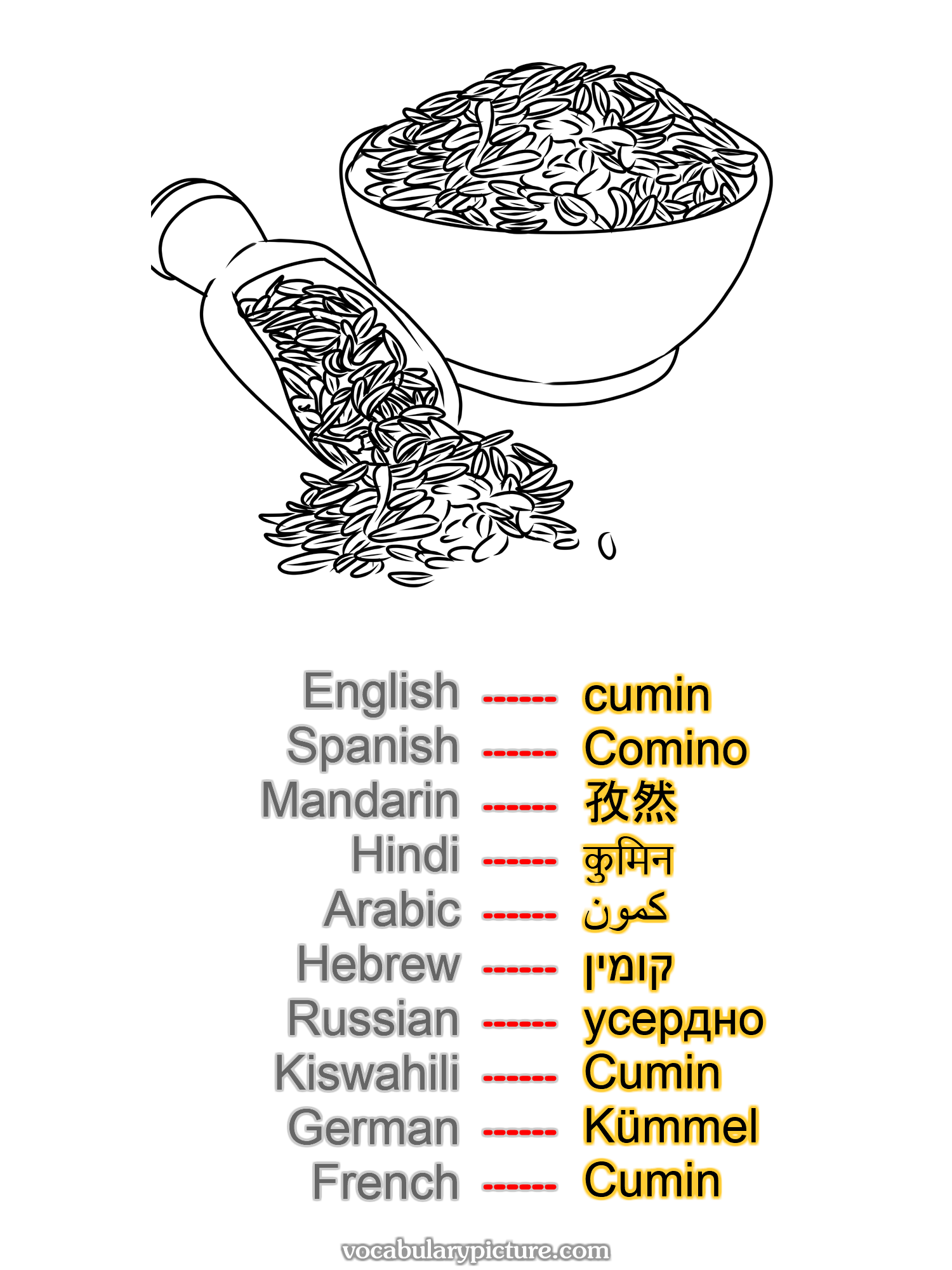 cumin Comino 孜然 कुमिन كمون קומין усердно Cumin Kümmel Cumin —vocabulary with picture on vocabularypicture.com