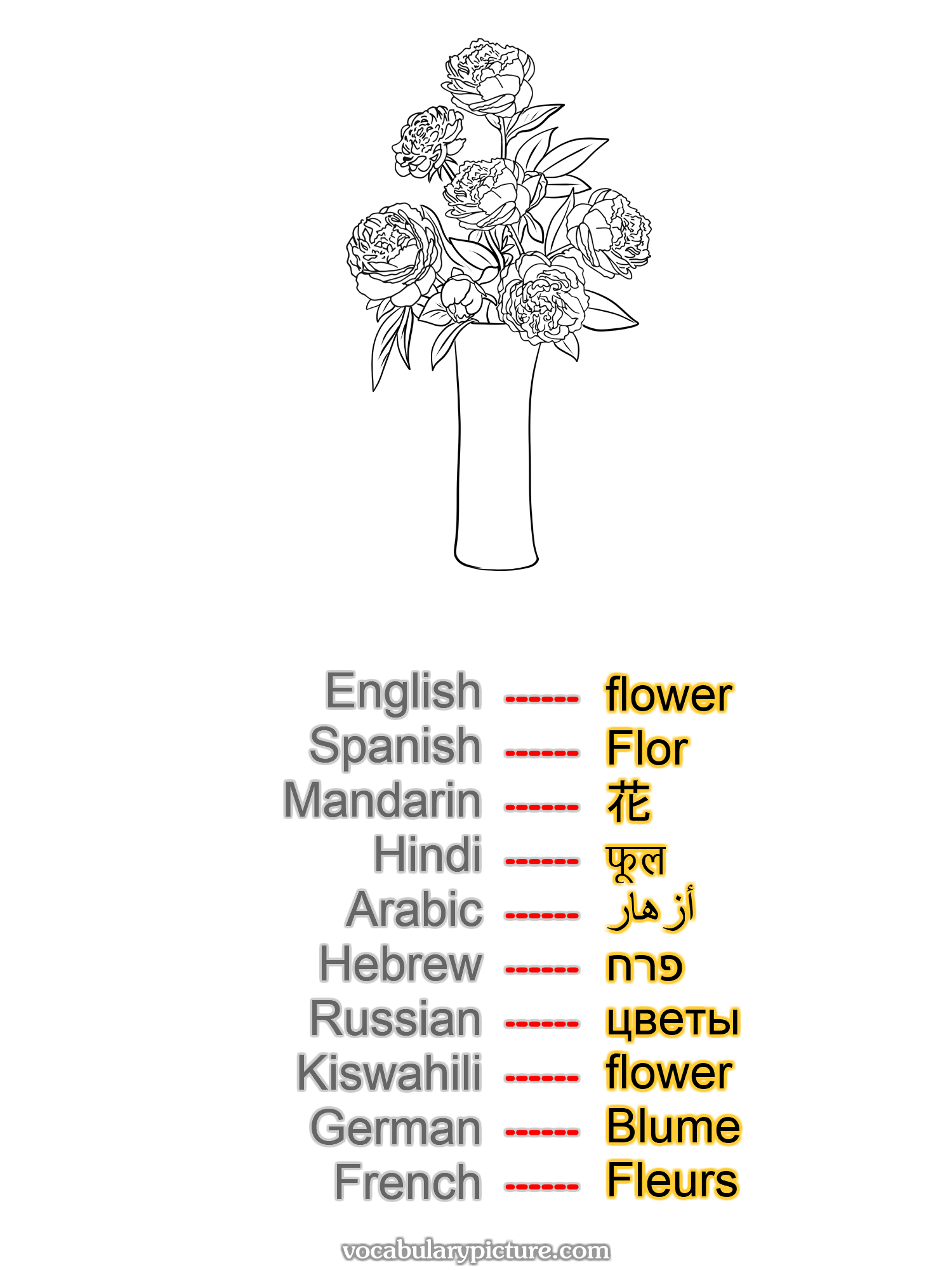 flower Flor 花 फूल أزهار פרח цветы flower Blume Fleurs —vocabulary with picture on vocabularypicture.com