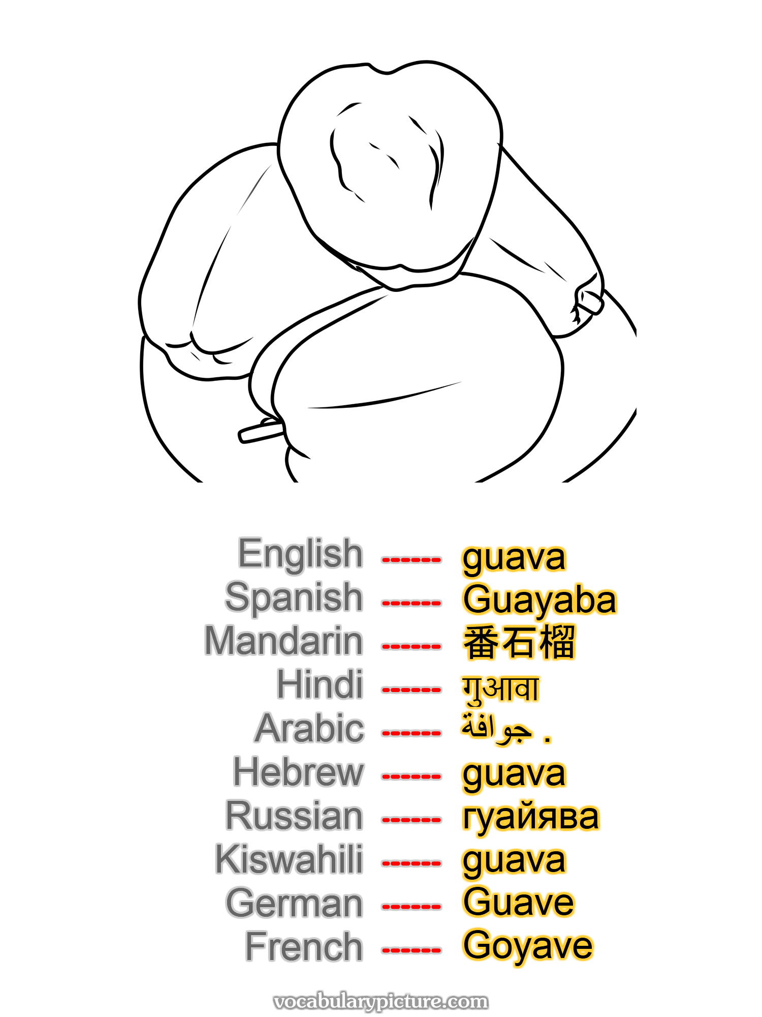 guava Guayaba 番石榴 गुआवा جوافة . guava гуайява guava Guave Goyave —vocabulary with picture on vocabularypicture.com