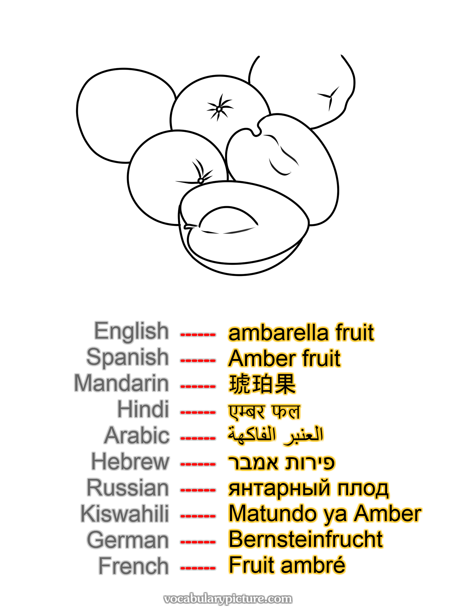 ambarella fruit Amber fruit 琥珀果 एम्बर फल العنبر الفاكهة פירות אמבר янтарный плод Matundo ya Amber Bernsteinfrucht Fruit ambré —vocabulary with picture on vocabularypicture.com