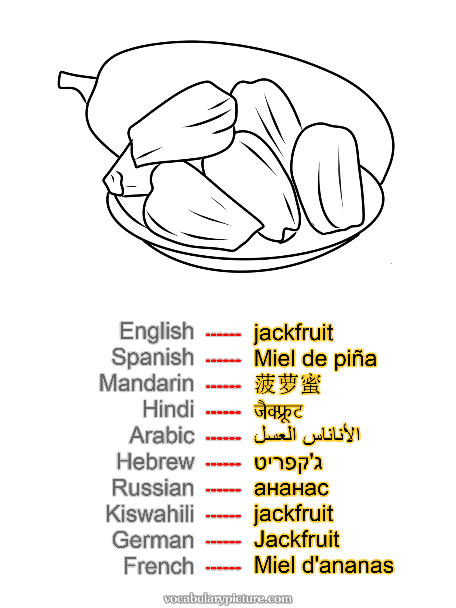 jackfruit Miel de piña 菠萝蜜 जैक्फ्रूट الأناناس العسل ג'קפריט ананас jackfruit Jackfruit Miel d'ananas —vocabulary with picture on vocabularypicture.com