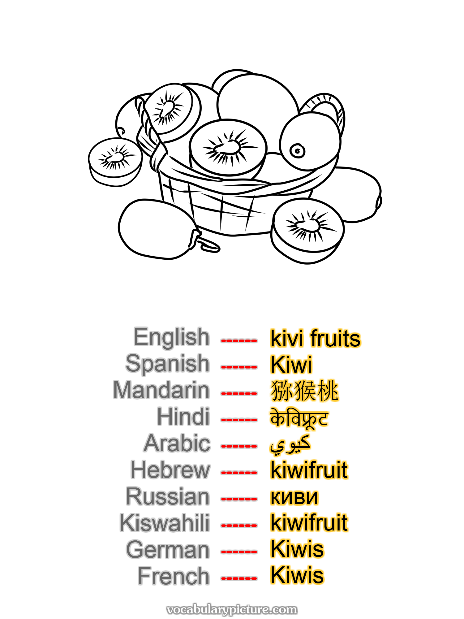 kivi fruits Kiwi 猕猴桃 केविफ्रूट كيوي kiwifruit киви kiwifruit Kiwis Kiwis —vocabulary with picture on vocabularypicture.com