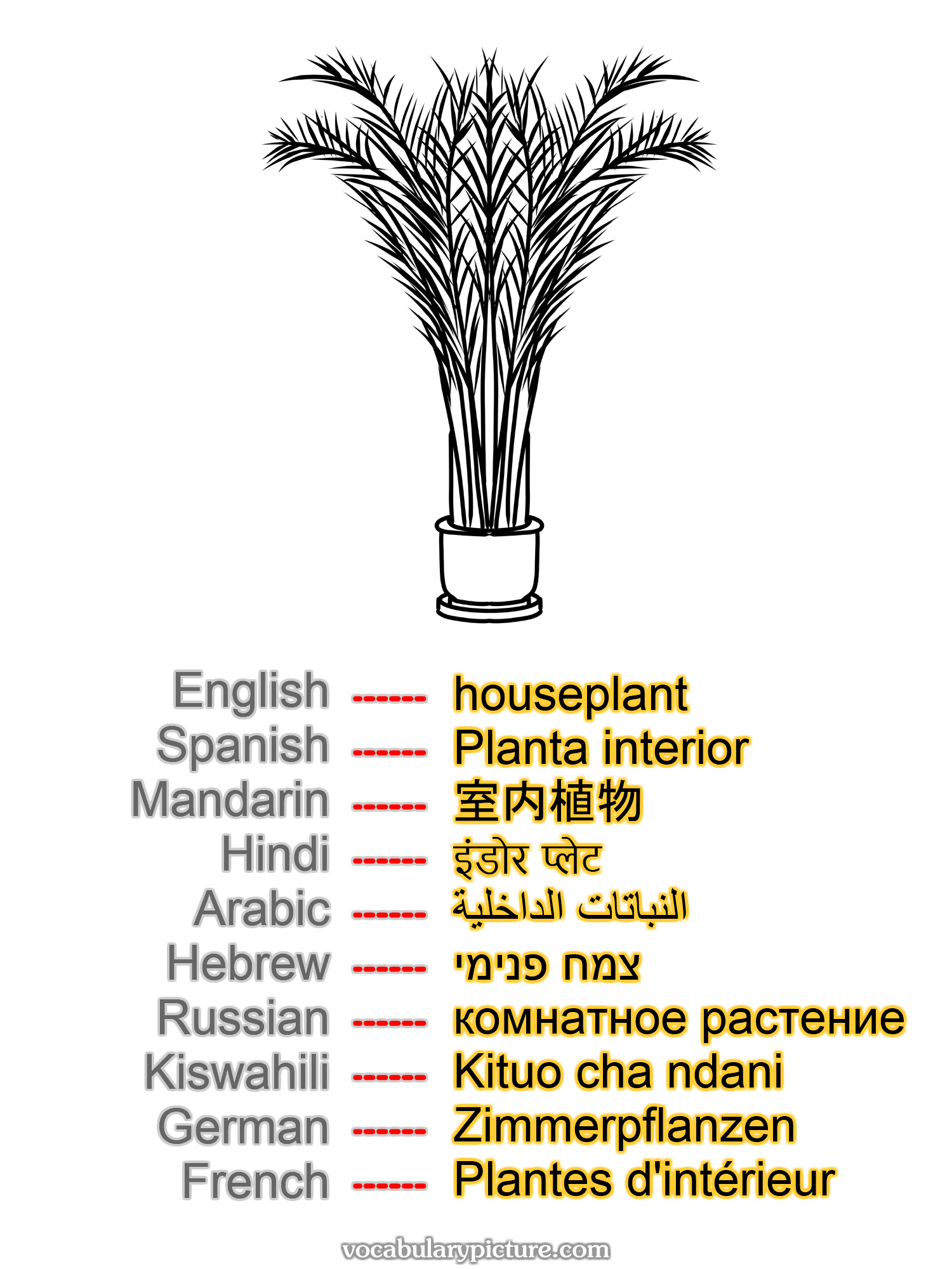 houseplant Planta interior 室内植物 इंडोर प्लेट النباتات الداخلية צמח פנימי комнатное растение Kituo cha ndani Zimmerpflanzen Plantes d'intérieur —vocabulary with picture on vocabularypicture.com