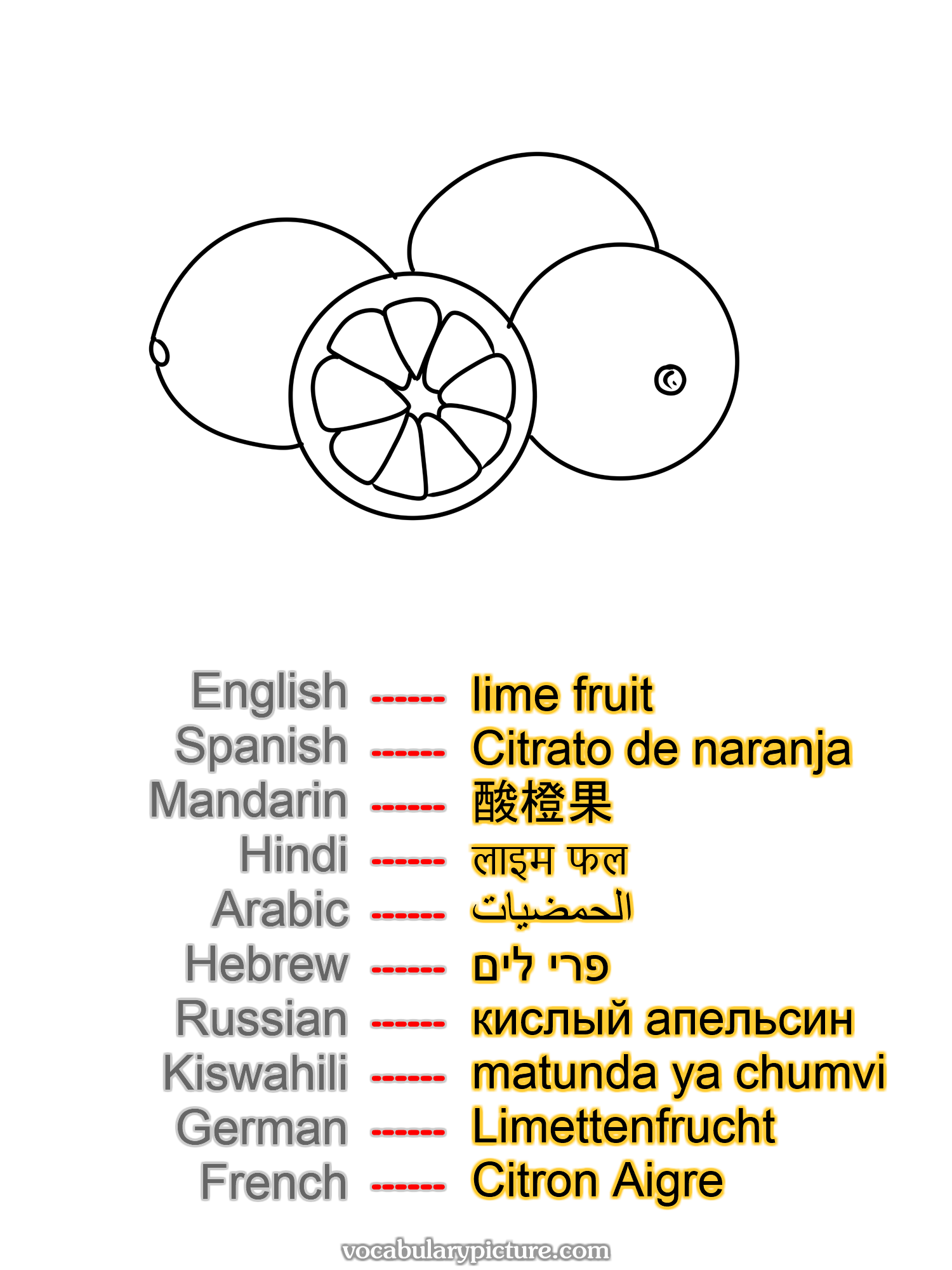 lime fruit Citrato de naranja 酸橙果 लाइम फल الحمضيات פרי לים кислый апельсин matunda ya chumvi Limettenfrucht Citron Aigre —vocabulary with picture on vocabularypicture.com