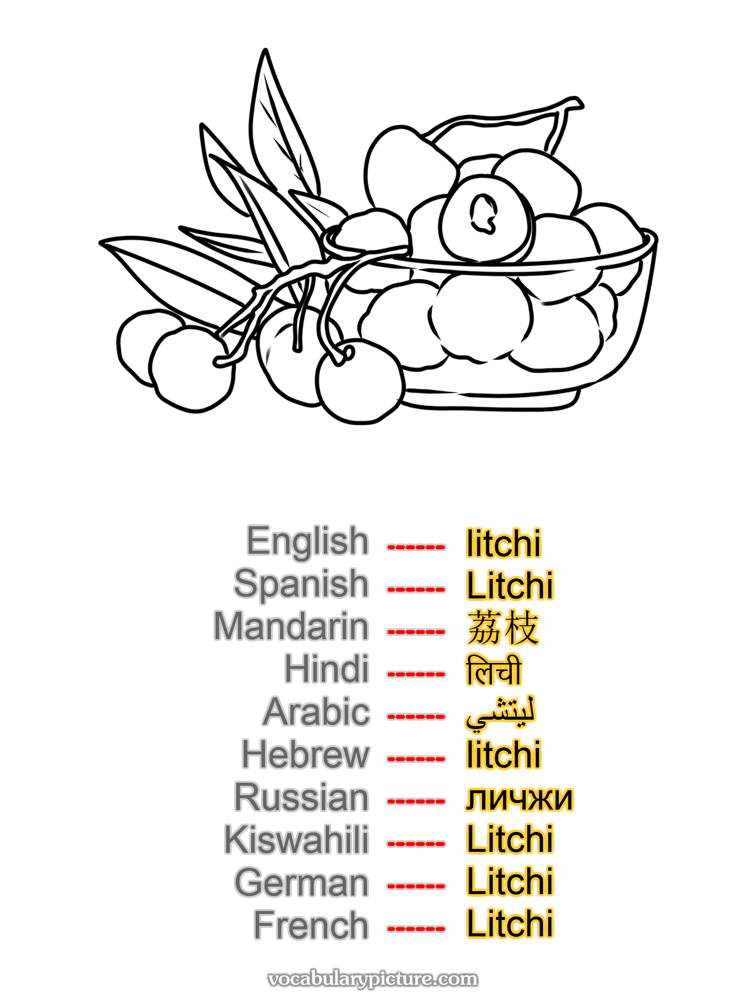 litchi Litchi 荔枝 लिची ليتشي litchi личжи Litchi Litchi Litchi —vocabulary with picture on vocabularypicture.com