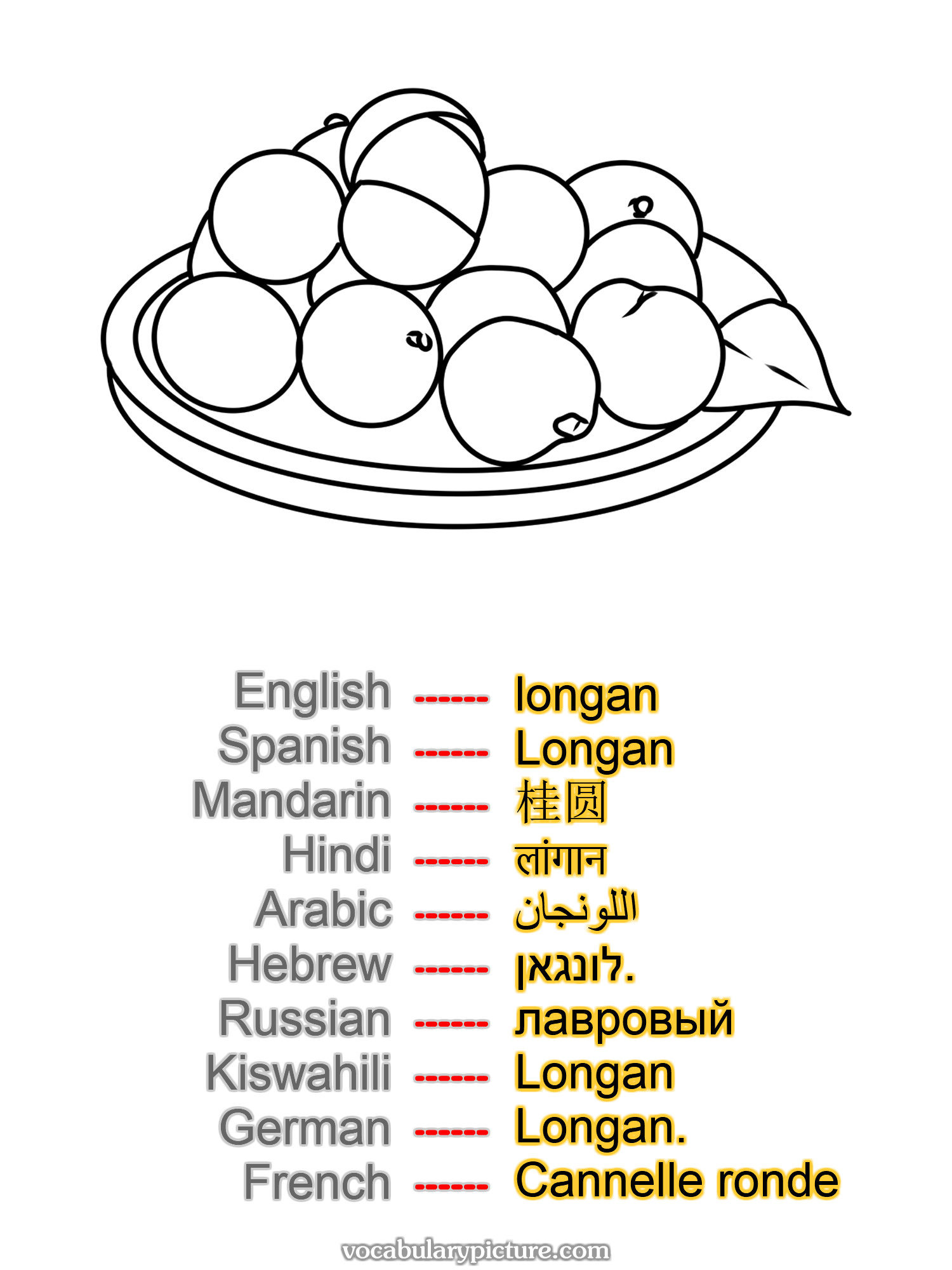 longan Longan 桂圆 लांगान اللونجان לונגאן. лавровый Longan Longan. Cannelle ronde —vocabulary with picture on vocabularypicture.com