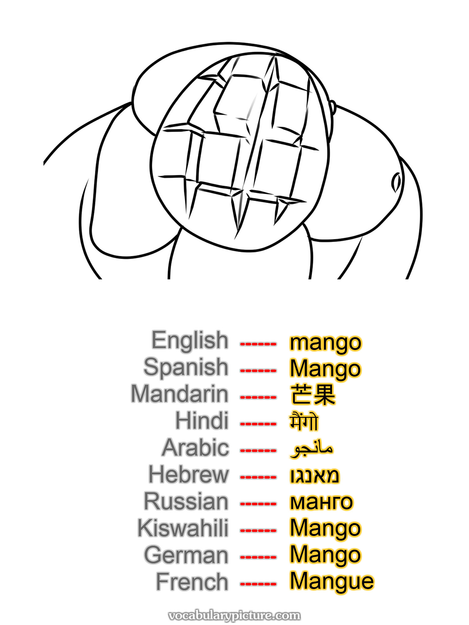 mango Mango 芒果 मैंगो مانجو מאנגו манго Mango Mango Mangue —vocabulary with picture on vocabularypicture.com