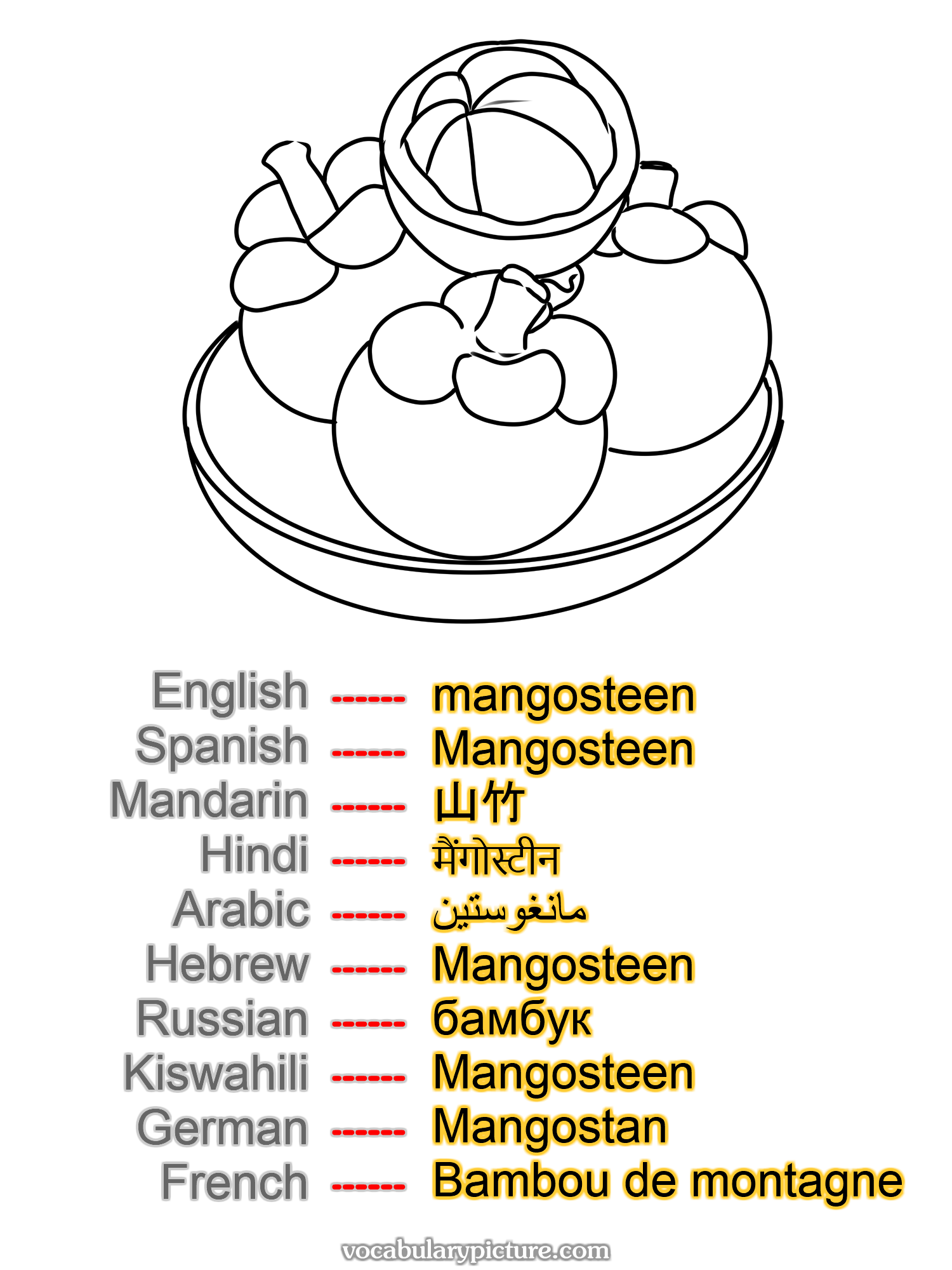 mangosteen Mangosteen 山竹 मैंगोस्टीन مانغوستين Mangosteen бамбук Mangosteen Mangostan Bambou de montagne —vocabulary with picture on vocabularypicture.com