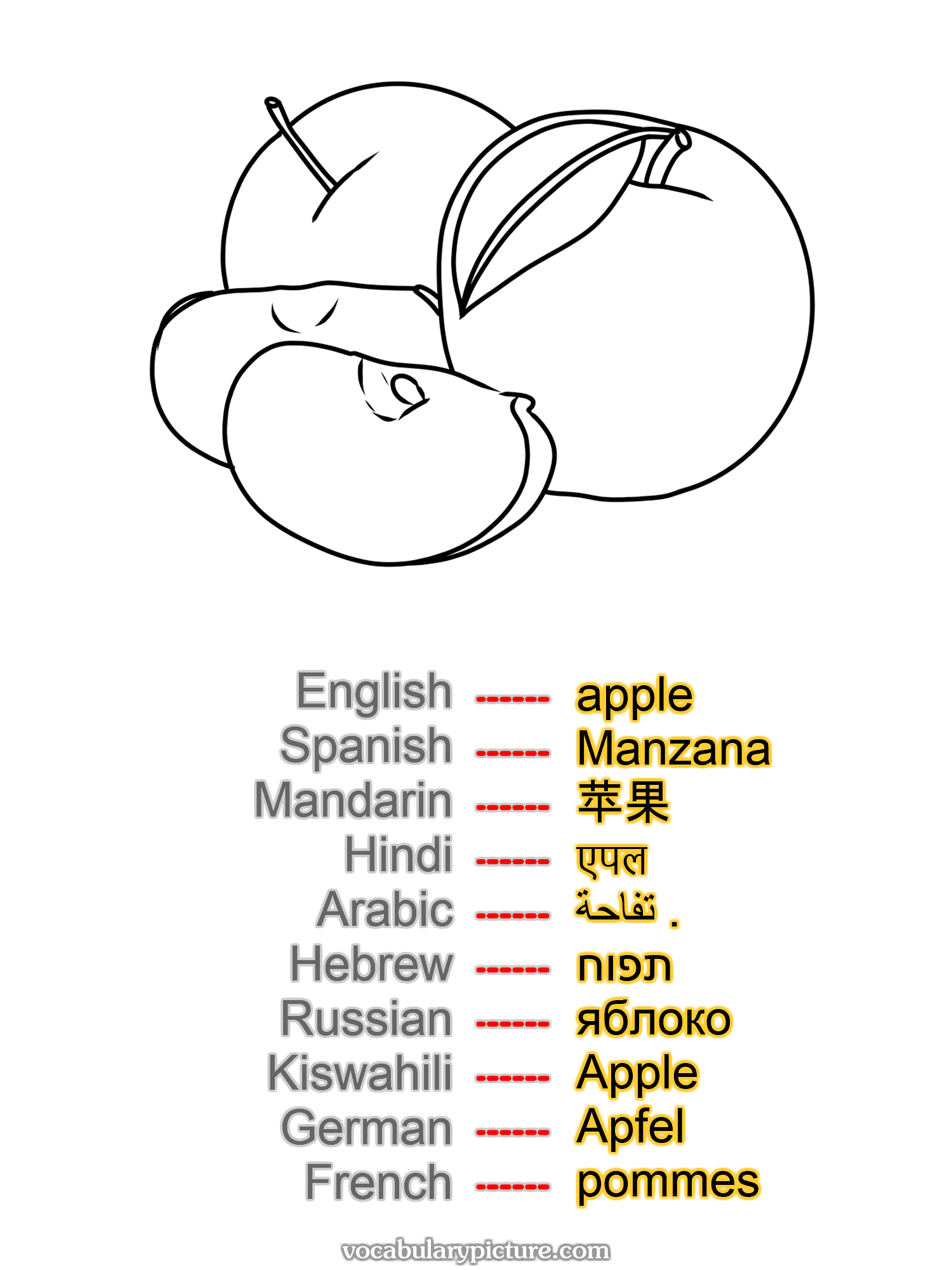 apple Manzana 苹果 एपल تفاحة . תפוח яблоко Apple Apfel pommes —vocabulary with picture on vocabularypicture.com