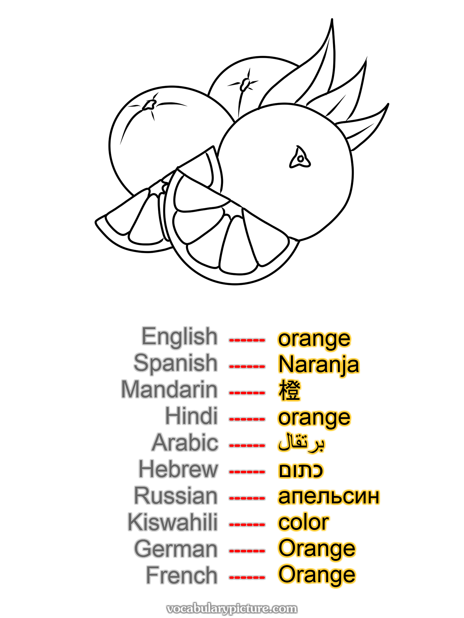 orange Naranja 橙 orange برتقال כתום апельсин color Orange Orange —vocabulary with picture on vocabularypicture.com