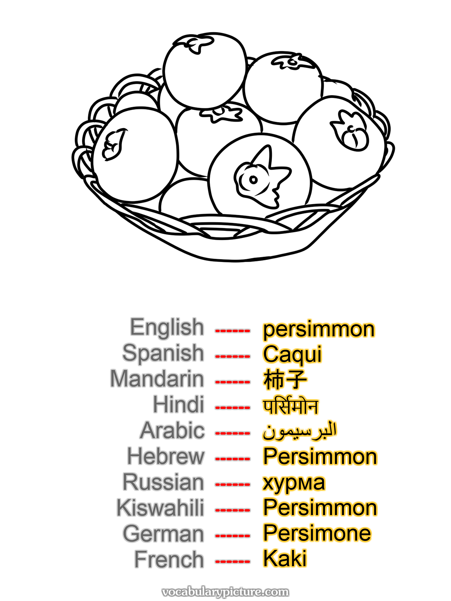 persimmon Caqui 柿子 पर्सिमोन البرسيمون Persimmon хурма Persimmon Persimone Kaki —vocabulary with picture on vocabularypicture.com