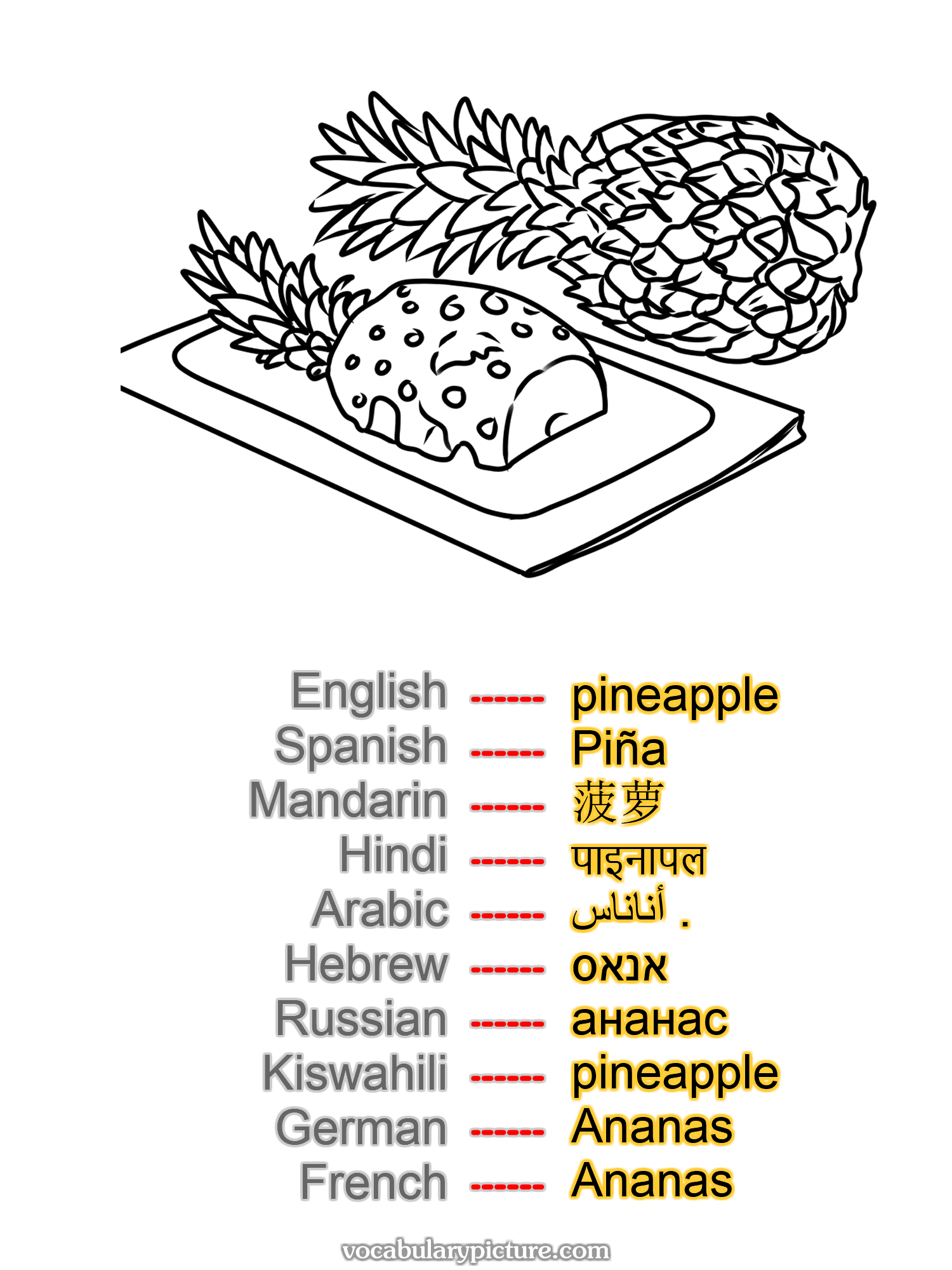 pineapple Piña 菠萝 पाइनापल أناناس . אנאס ананас pineapple Ananas Ananas —vocabulary with picture on vocabularypicture.com