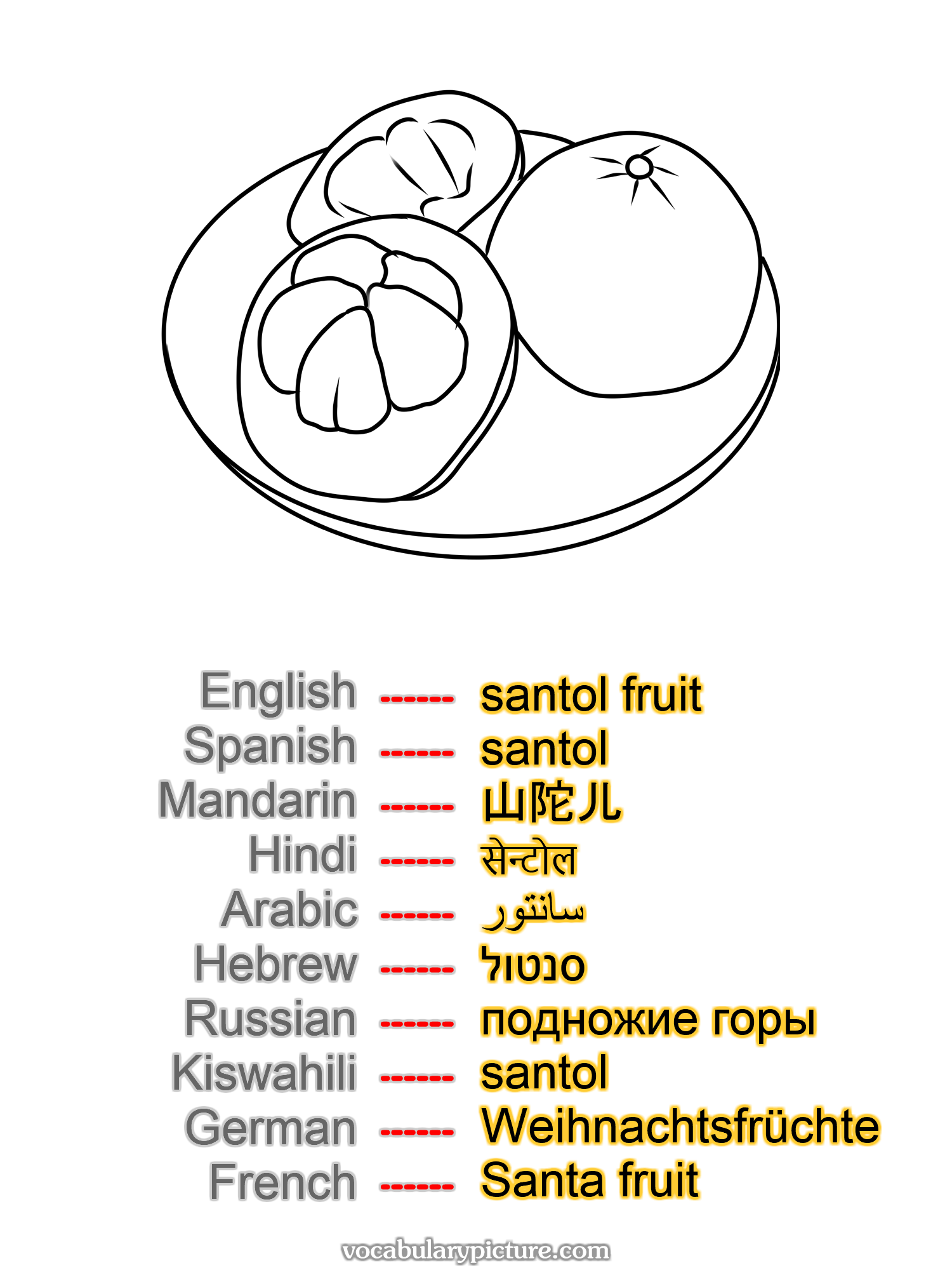 santol fruit santol 山陀儿 सेन्टोल سانتور סנטול подножие горы santol Weihnachtsfrüchte Santa fruit —vocabulary with picture on vocabularypicture.com