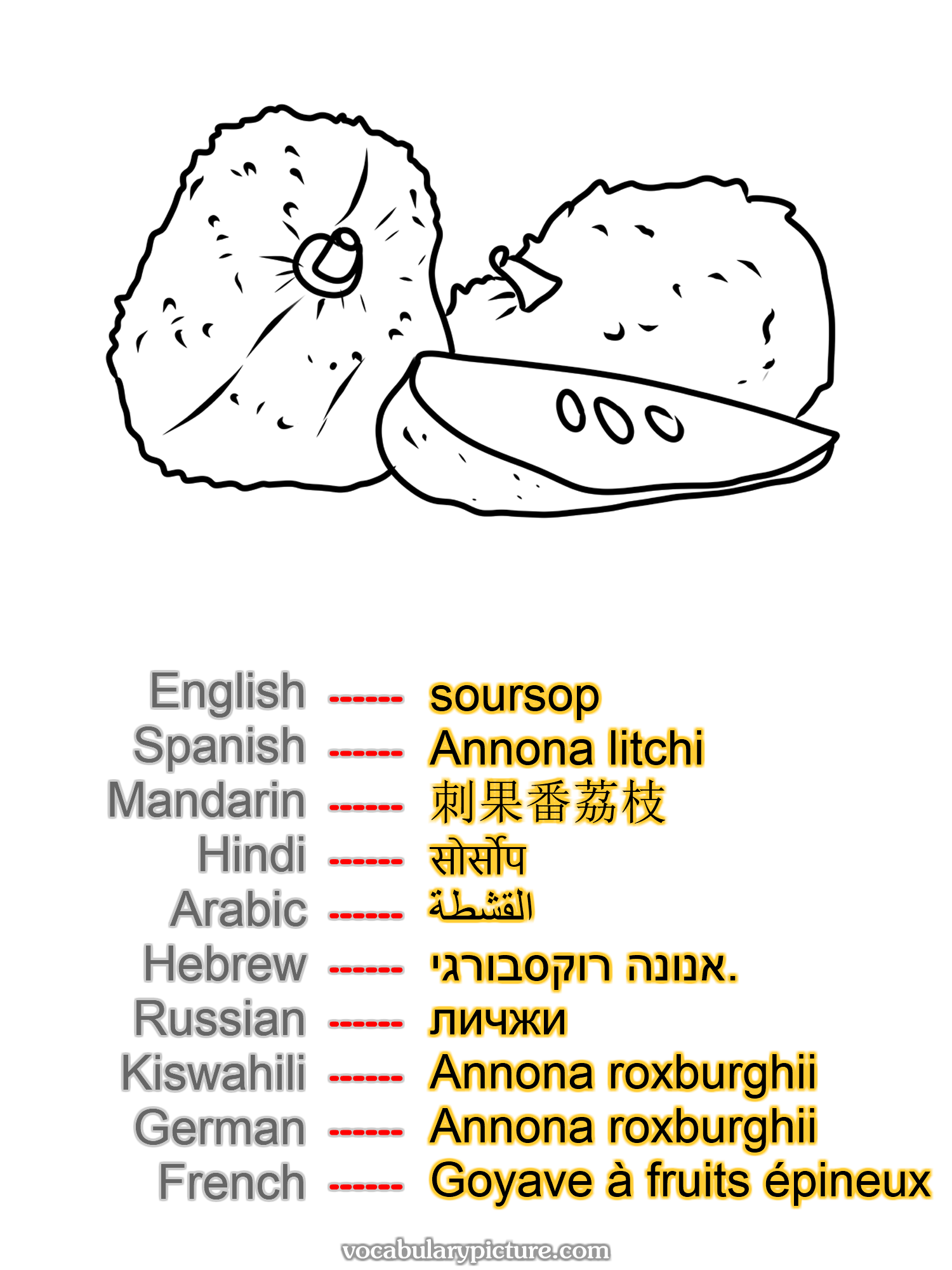 soursop Annona litchi 刺果番荔枝 सोर्सोप القشطة אנונה רוקסבורגי. личжи Annona roxburghii Annona roxburghii Goyave à fruits épineux —vocabulary with picture on vocabularypicture.com