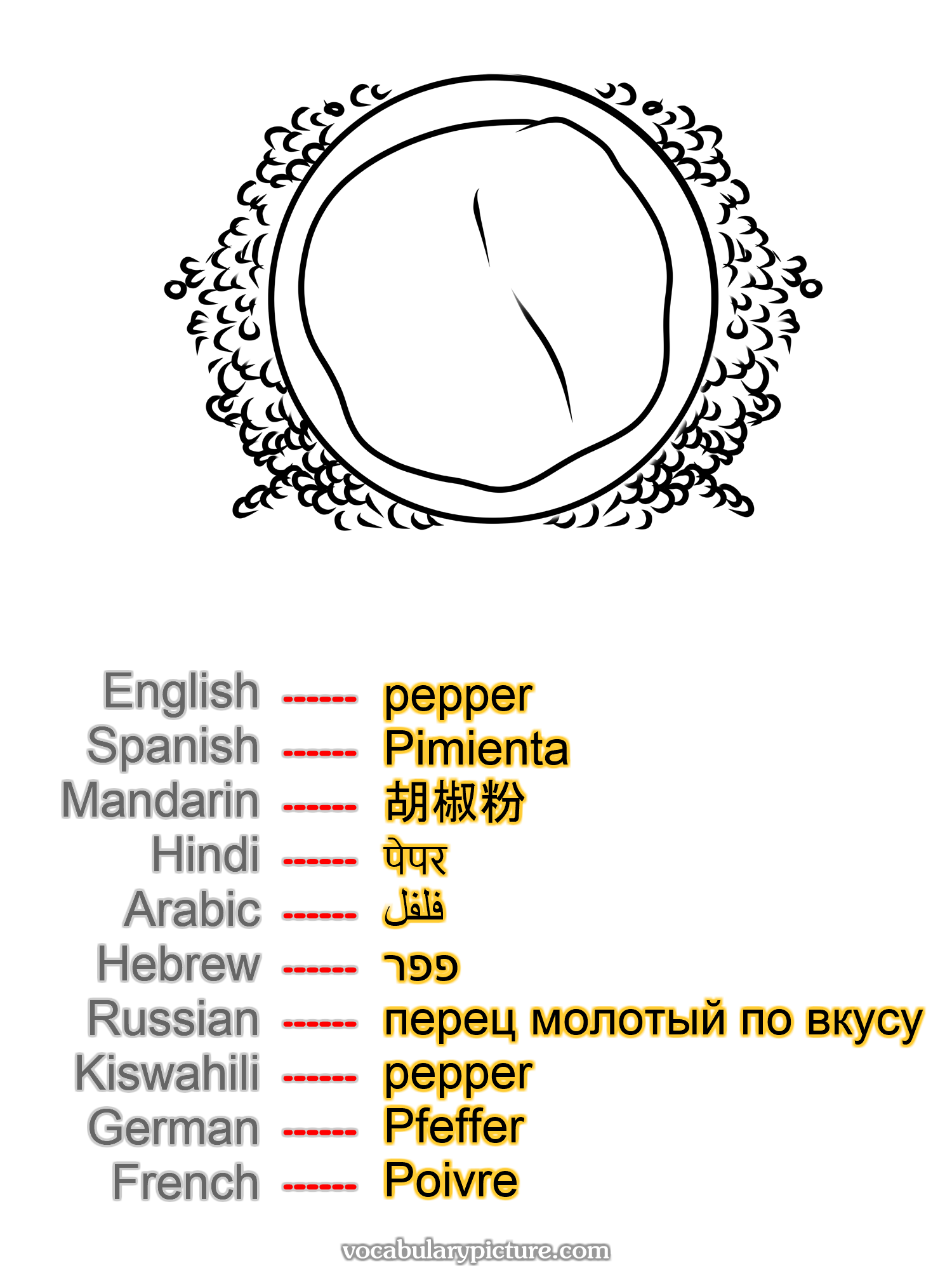 pepper Pimienta 胡椒粉 पेपर فلفل פפר перец молотый по вкусу pepper Pfeffer Poivre —vocabulary with picture on vocabularypicture.com