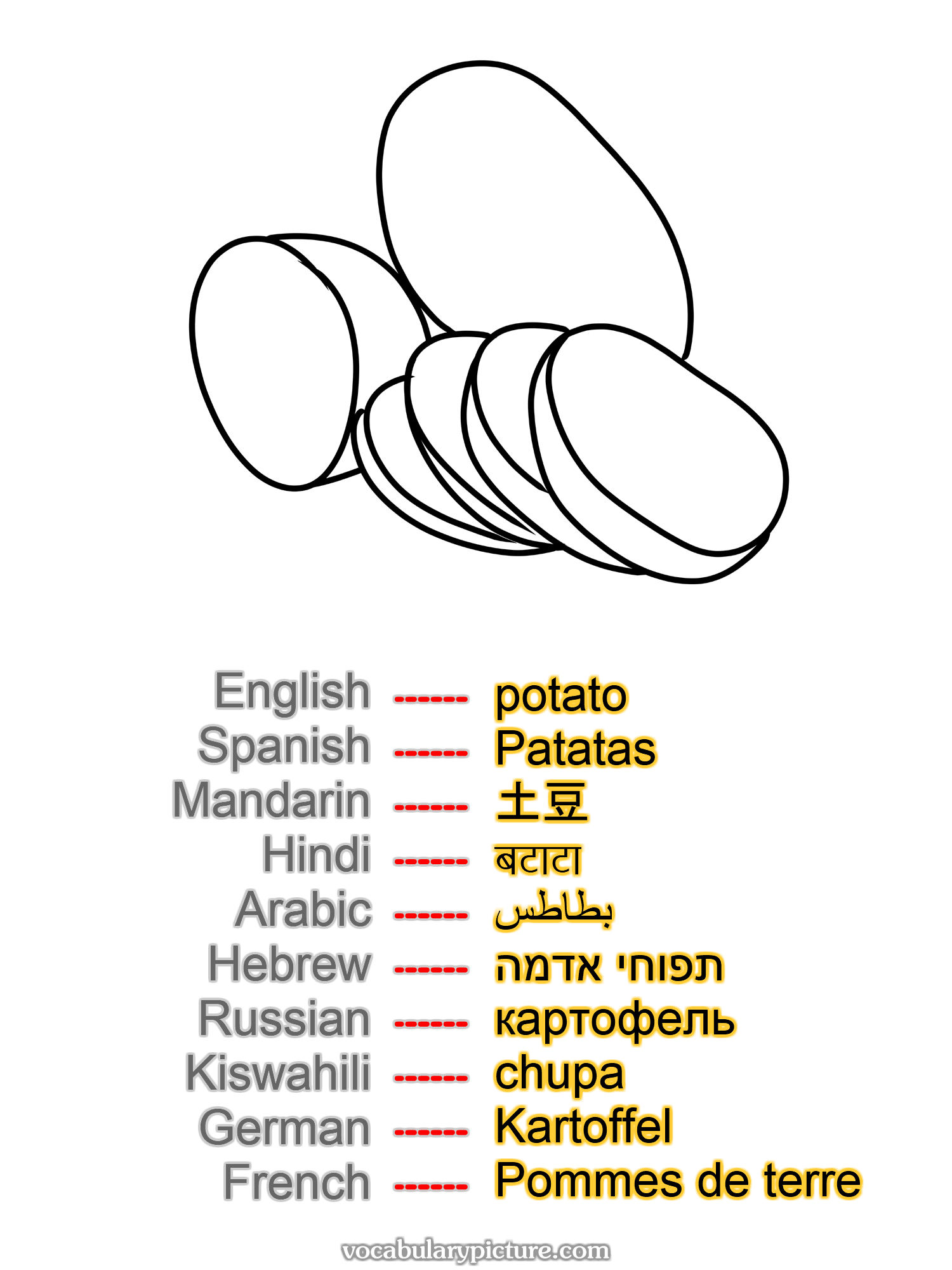 potato Patatas 土豆 बटाटा بطاطس תפוחי אדמה картофель chupa Kartoffel Pommes de terre —vocabulary with picture on vocabularypicture.com