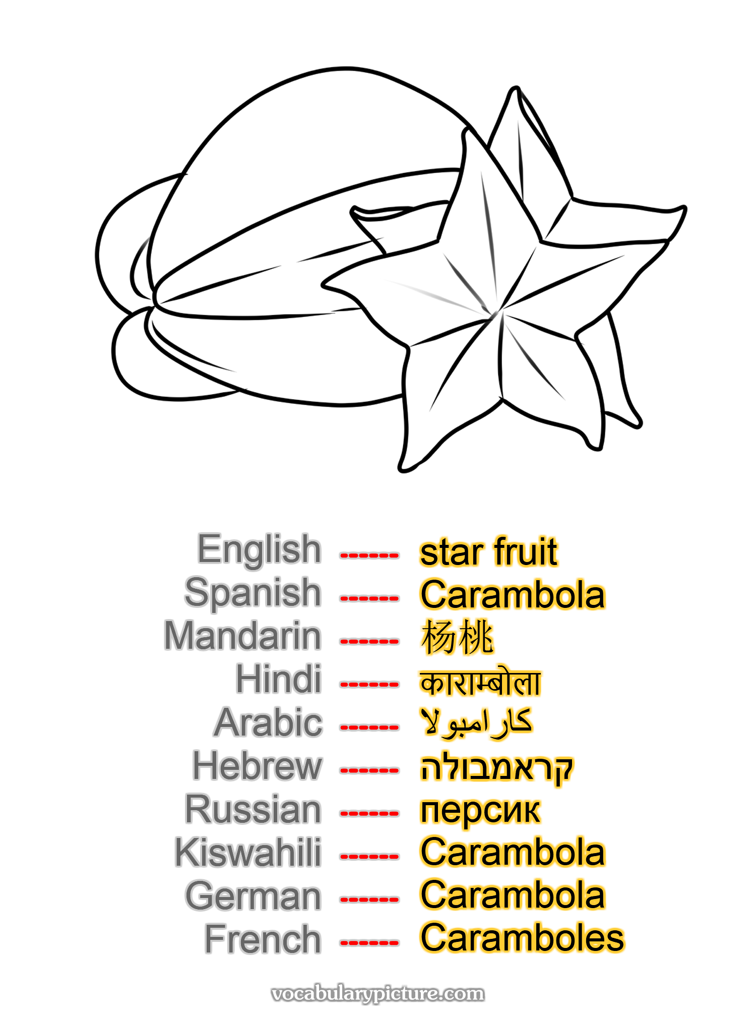 star fruit Carambola 杨桃 काराम्बोला كارامبولا קראמבולה персик Carambola Carambola Caramboles —vocabulary with picture on vocabularypicture.com