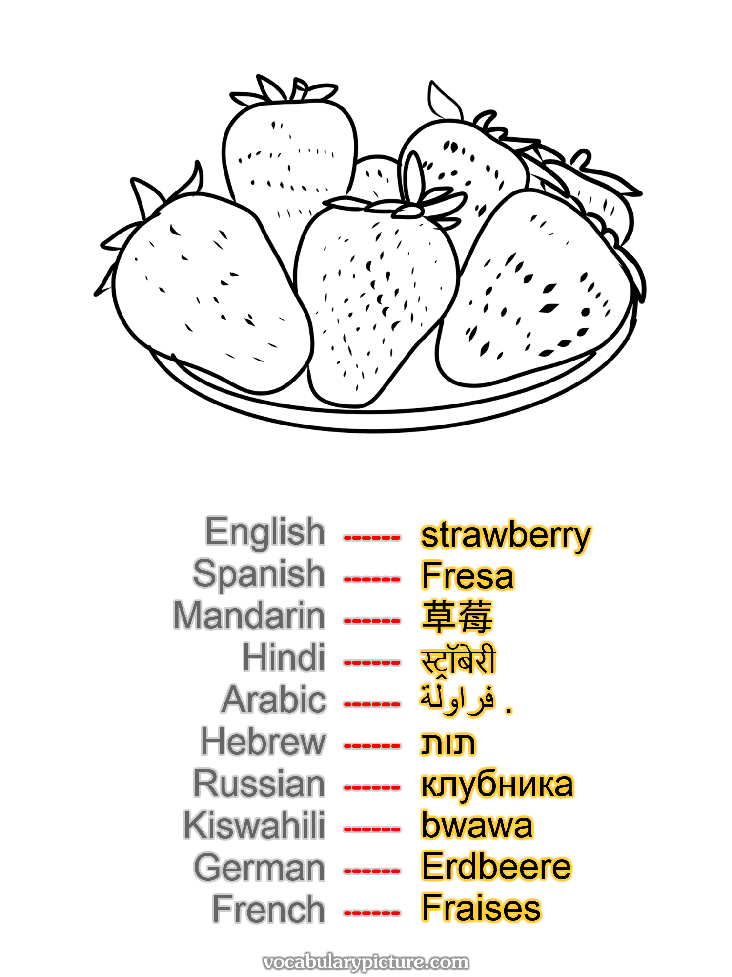 strawberry Fresa 草莓 स्ट्रॉबेरी فراولة . תות клубника bwawa Erdbeere Fraises —vocabulary with picture on vocabularypicture.com