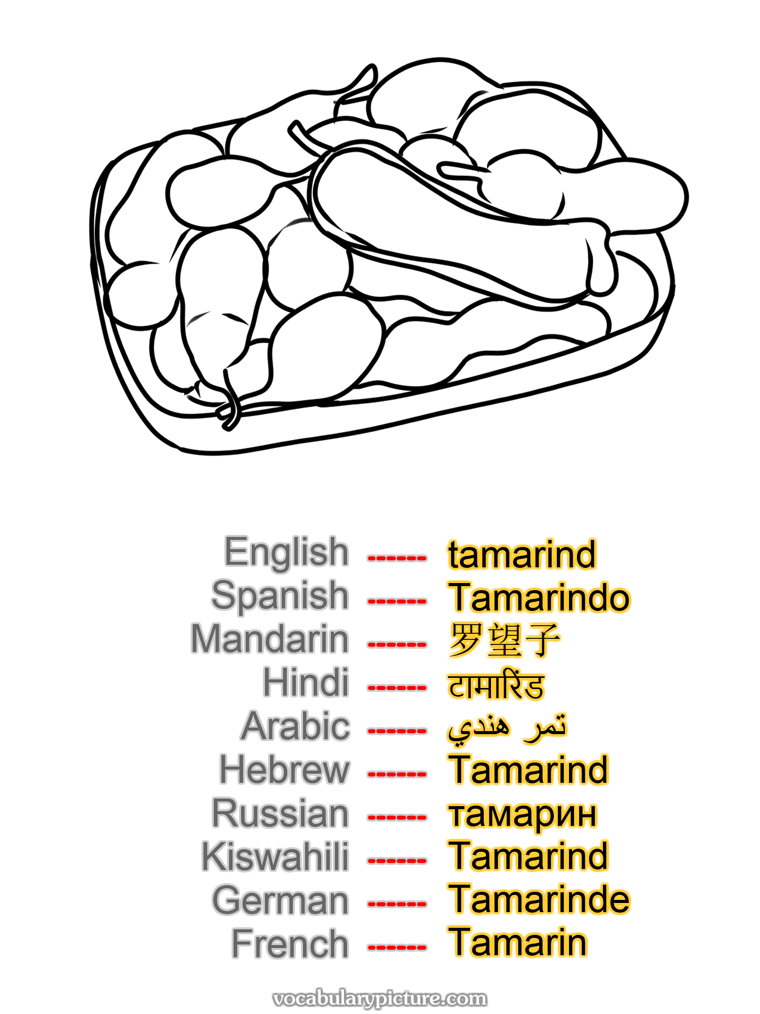 tamarind Tamarindo 罗望子 टामारिंड تمر هندي Tamarind тамарин Tamarind Tamarinde Tamarin —vocabulary with picture on vocabularypicture.com