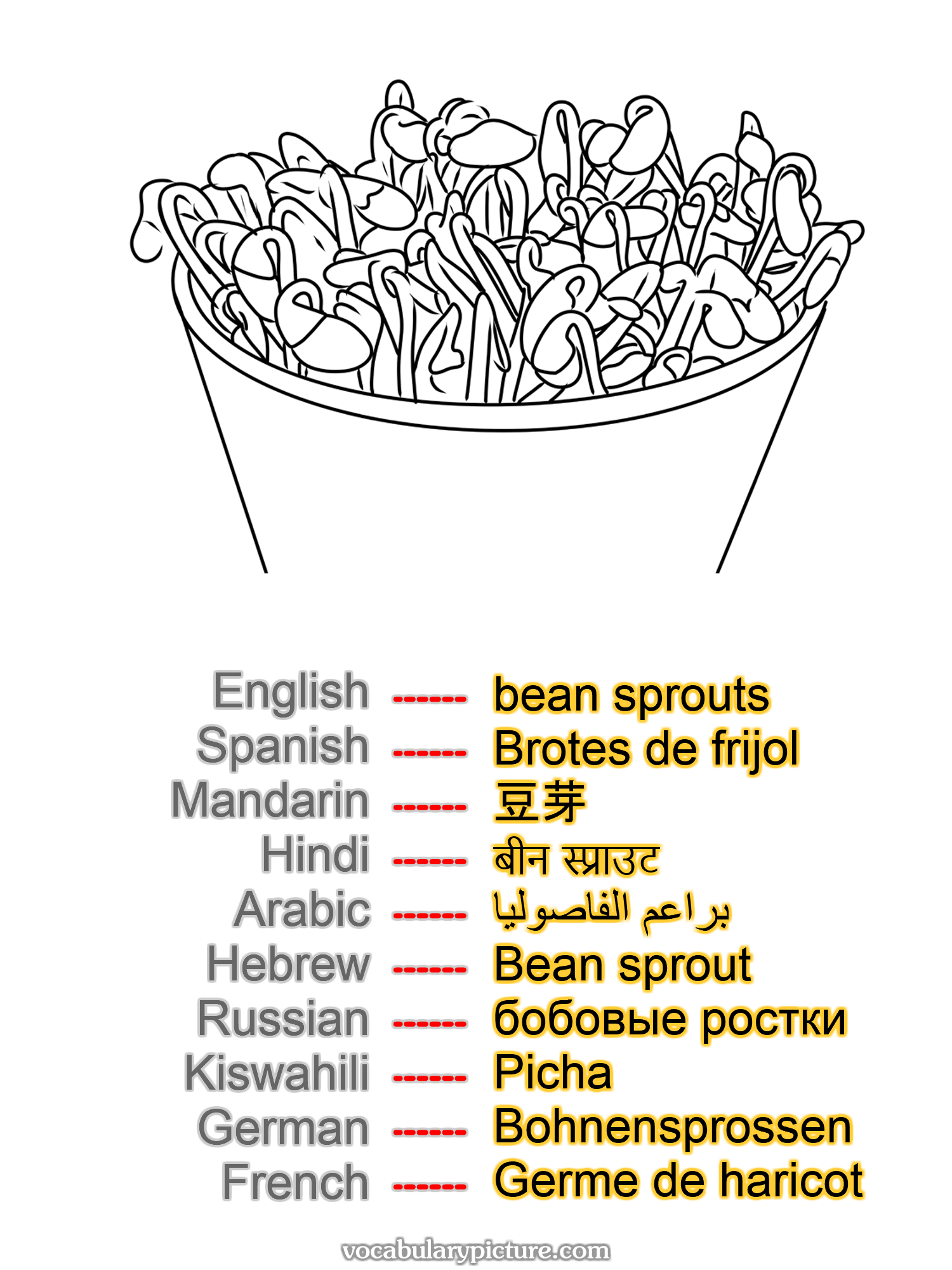 bean sprouts Brotes de frijol 豆芽 बीन स्प्राउट براعم الفاصوليا Bean sprout бобовые ростки Picha Bohnensprossen Germe de haricot —vocabulary with picture on vocabularypicture.com