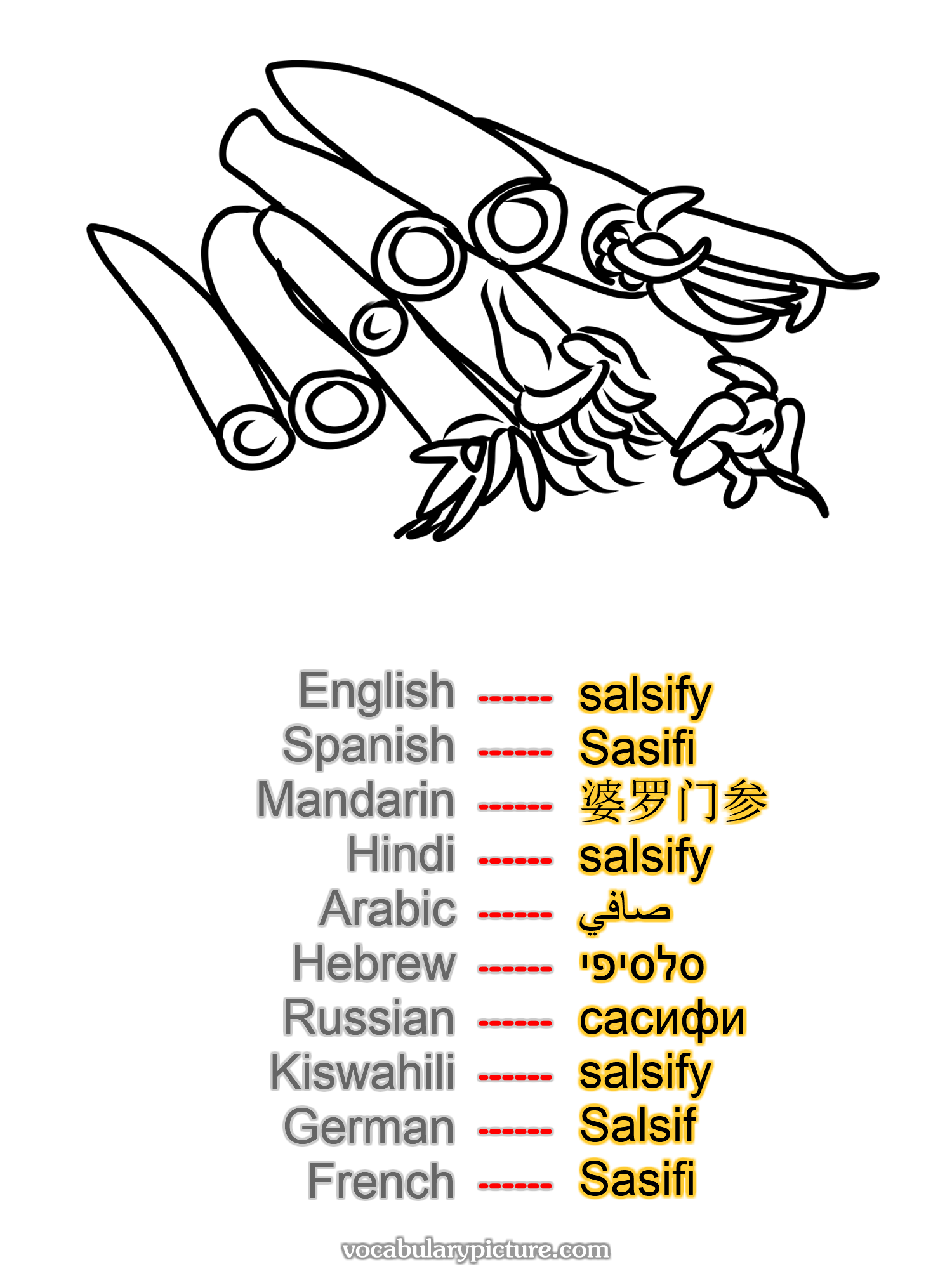 salsify Sasifi 婆罗门参 salsify صافي סלסיפי сасифи salsify Salsif Sasifi —vocabulary with picture on vocabularypicture.com