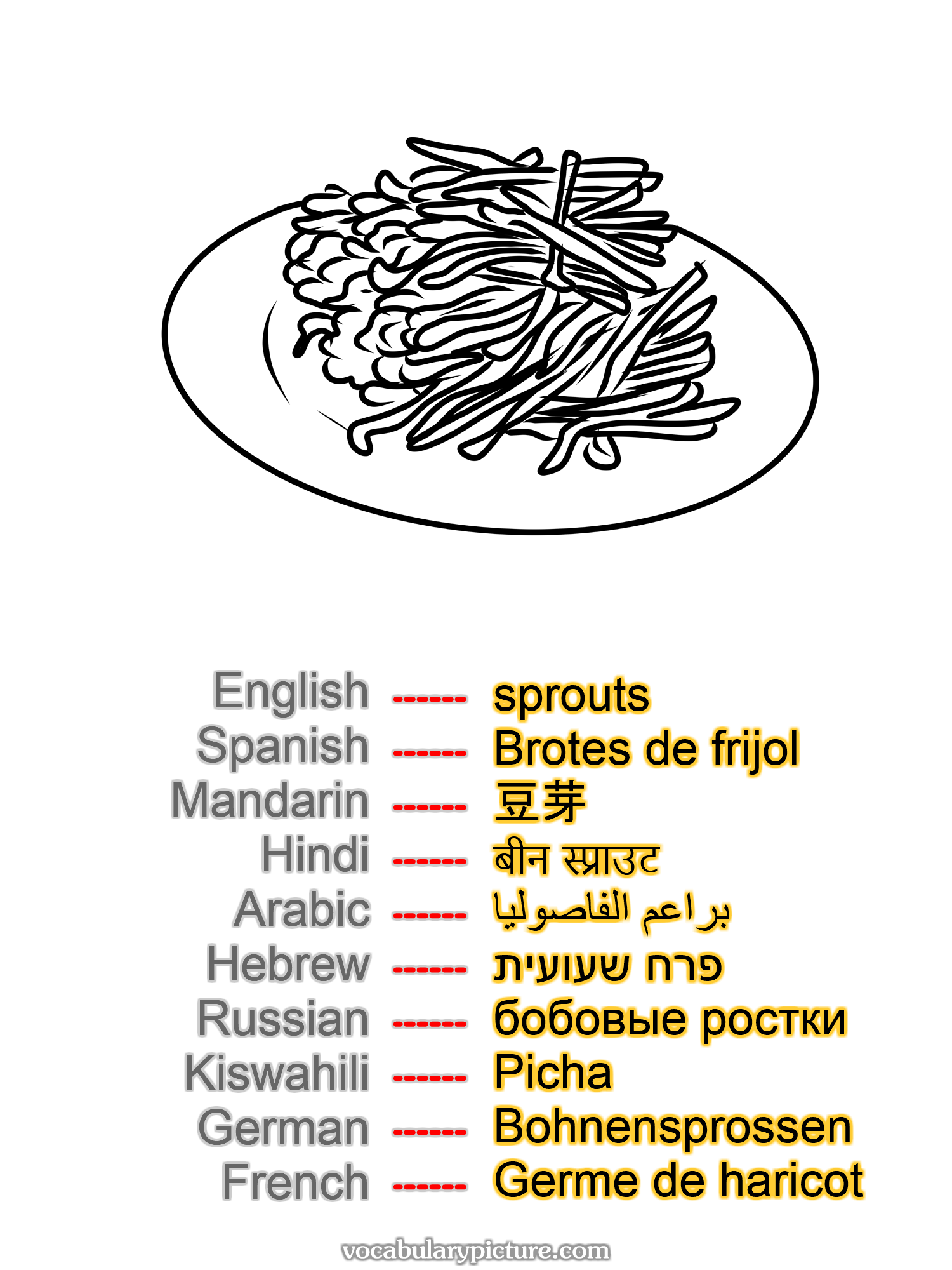 sprouts Brotes de frijol 豆芽 बीन स्प्राउट براعم الفاصوليا פרח שעועית бобовые ростки Picha Bohnensprossen Germe de haricot —vocabulary with picture on vocabularypicture.com