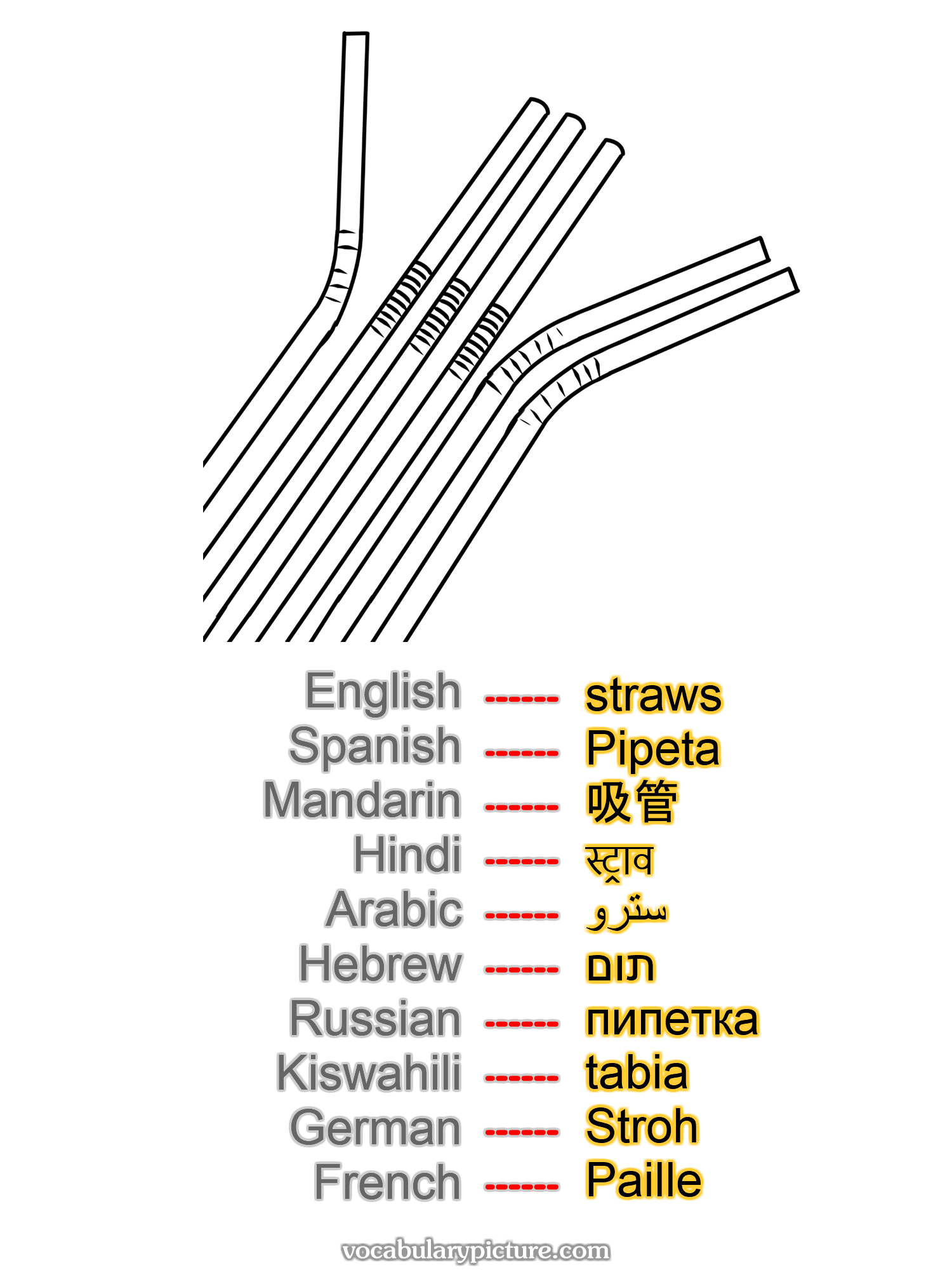 straws Pipeta 吸管 स्ट्राव سترو תום пипетка tabia Stroh Paille —vocabulary with picture on vocabularypicture.com