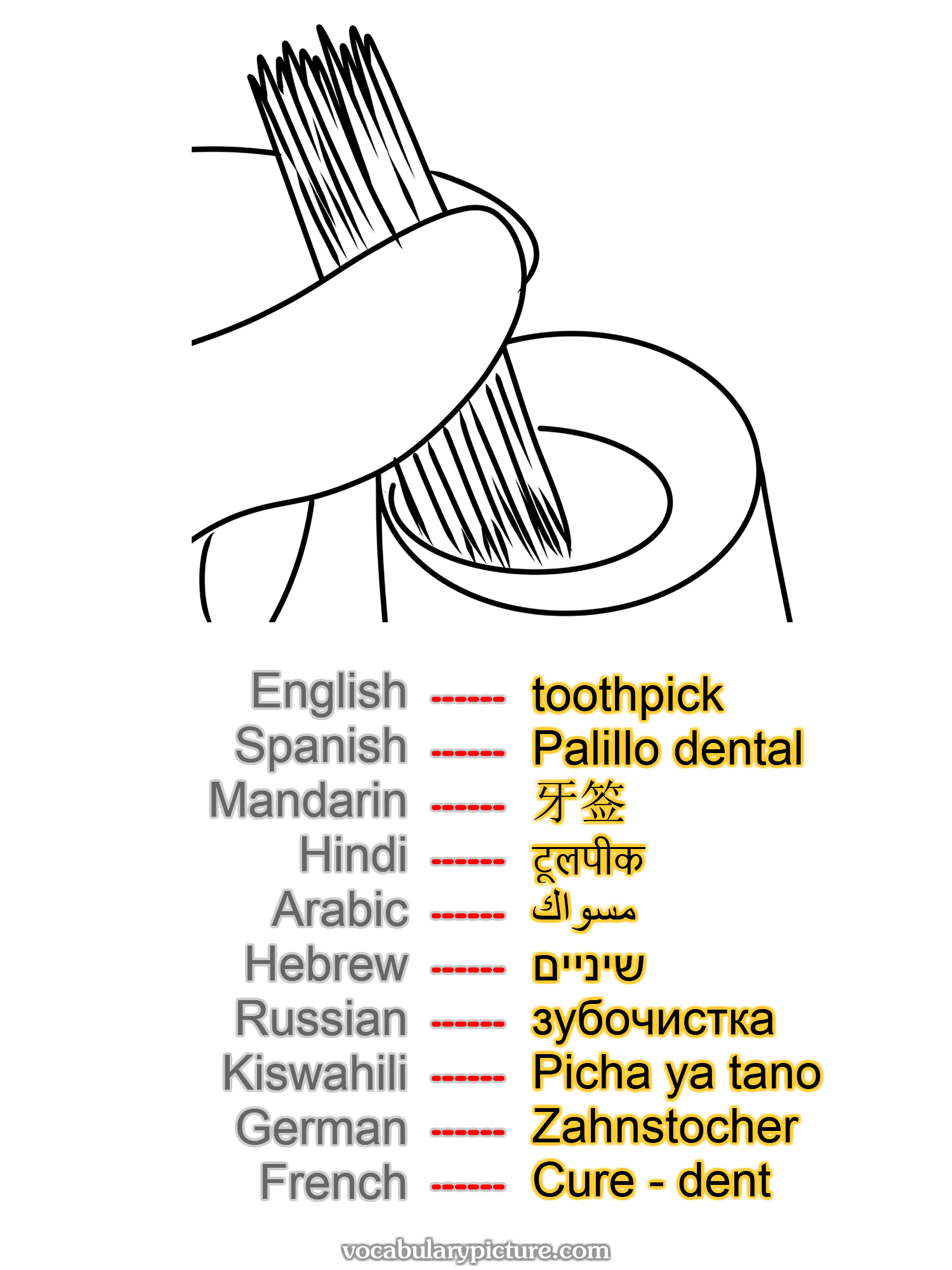 toothpick Palillo dental 牙签 टूलपीक مسواك שיניים зубочистка Picha ya tano Zahnstocher Cure - dent —vocabulary with picture on vocabularypicture.com