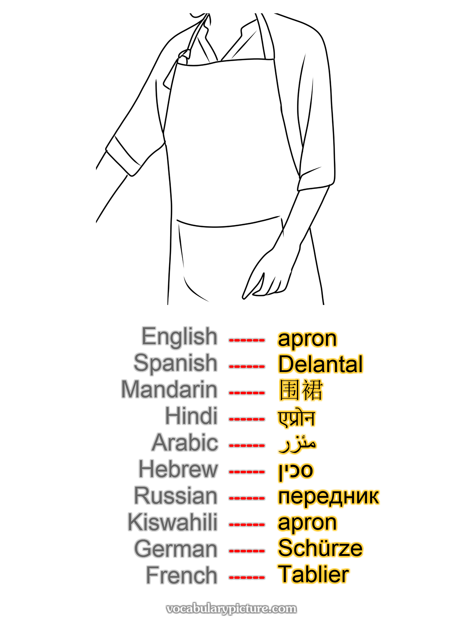 apron Delantal 围裙 एप्रोन مئزر סכין передник apron Schürze Tablier —vocabulary with picture on vocabularypicture.com