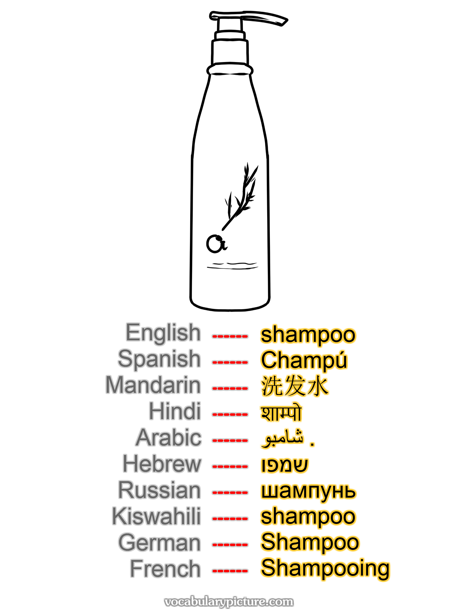 shampoo Champú 洗发水 शाम्पो شامبو . שמפו шампунь shampoo Shampoo Shampooing —vocabulary with picture on vocabularypicture.com