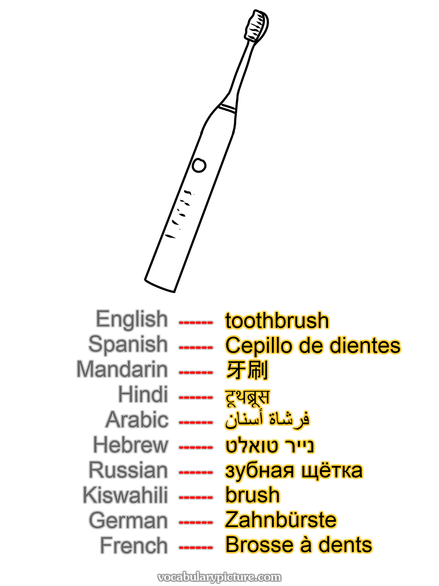 toothbrush Cepillo de dientes 牙刷 टूथब्रूस فرشاة أسنان נייר טואלט зубная щётка brush Zahnbürste Brosse à dents —vocabulary with picture on vocabularypicture.com