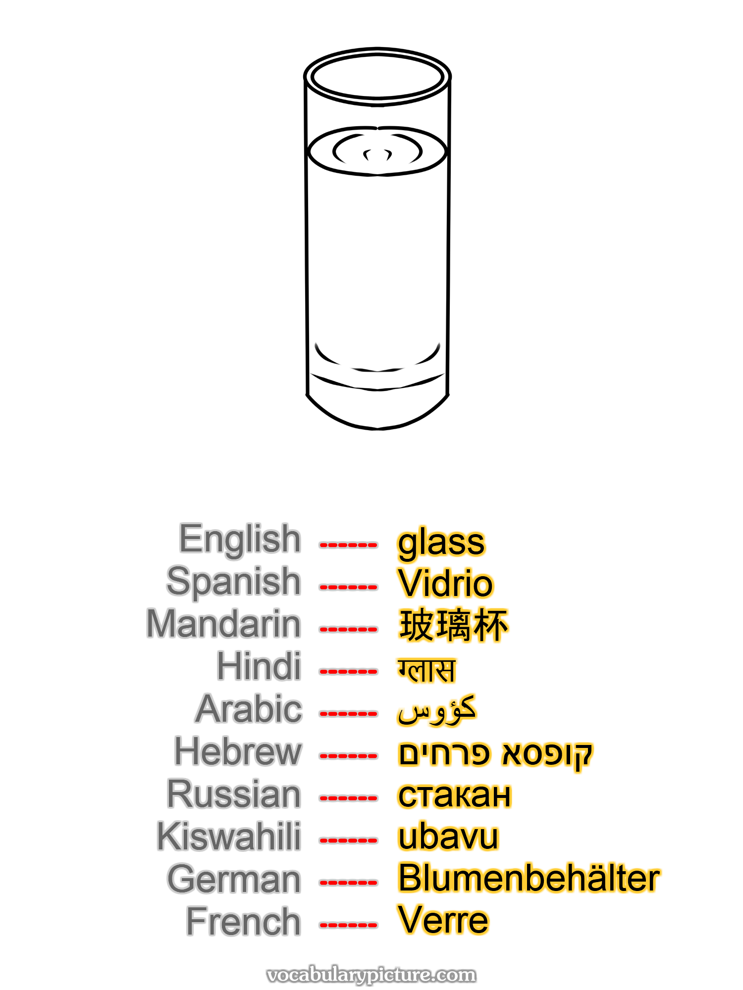 glass Vidrio 玻璃杯 ग्लास كؤوس קופסא פרחים стакан ubavu Blumenbehälter Verre —vocabulary with picture on vocabularypicture.com